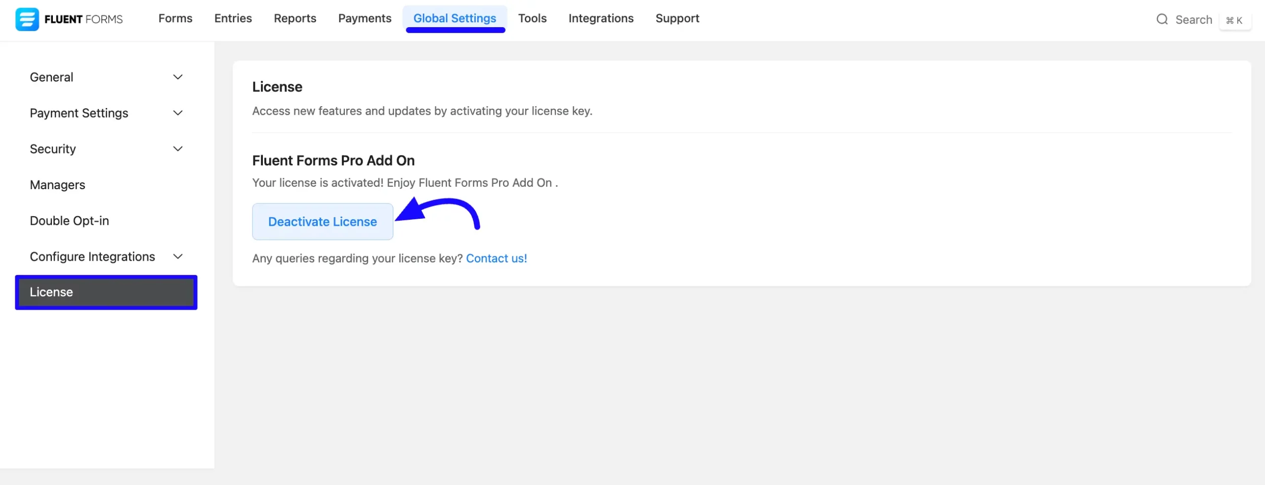Deactivate License Fluent Forms