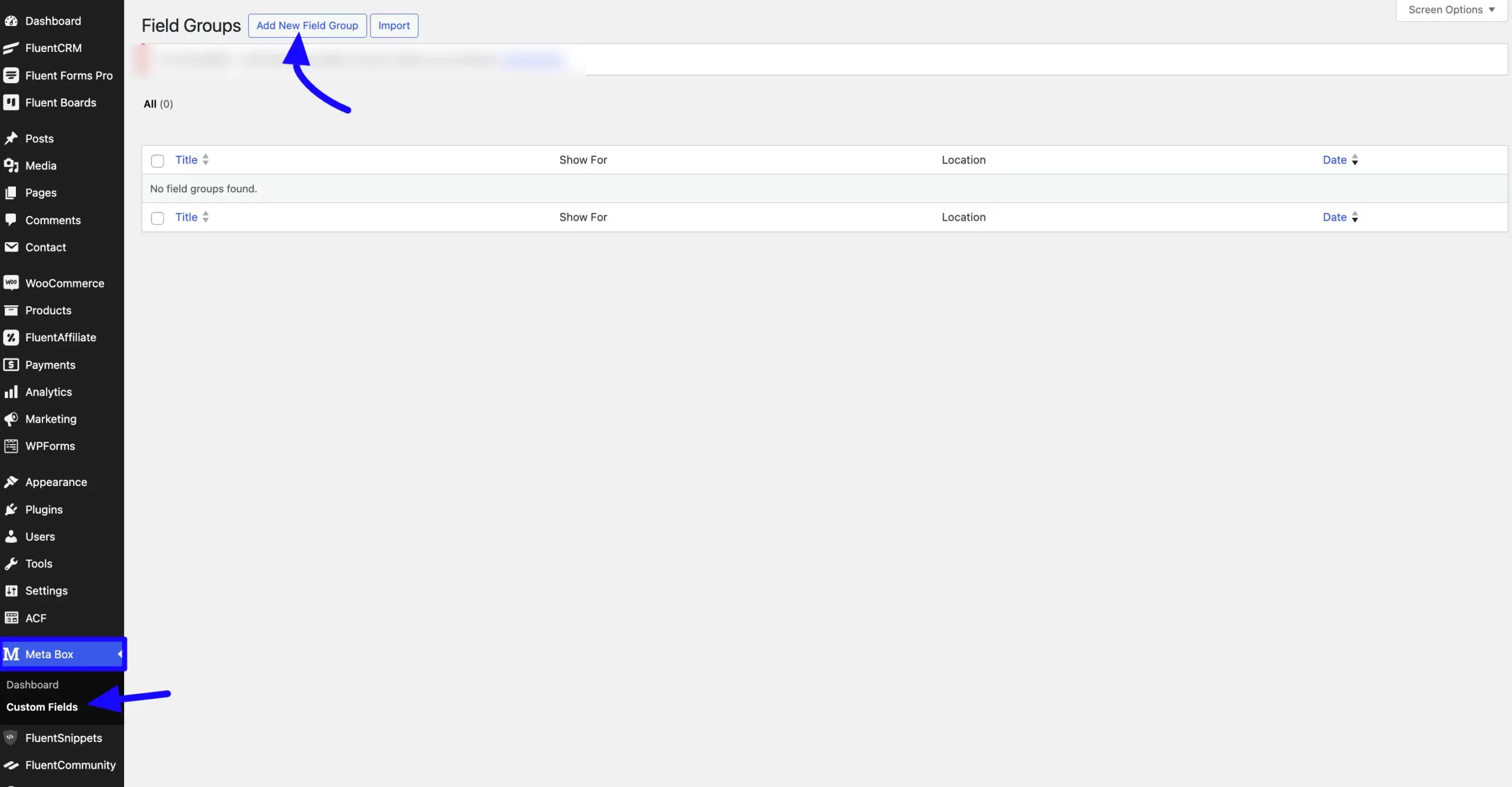 Custom Field Add