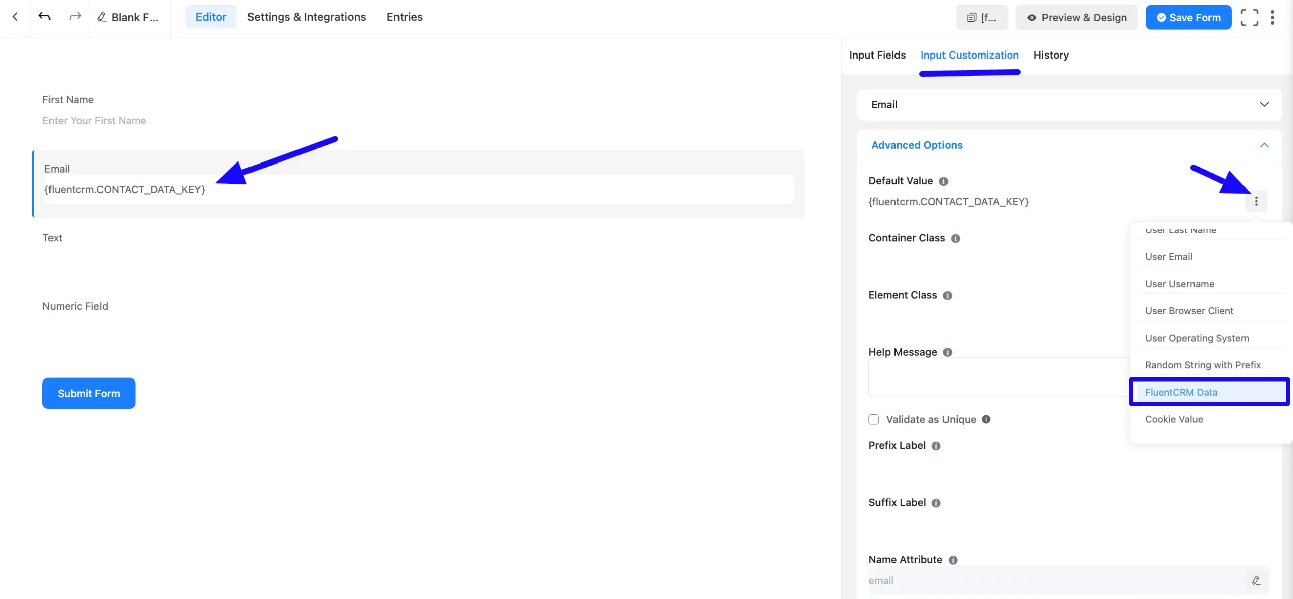 FluentCRM Data Smartcode