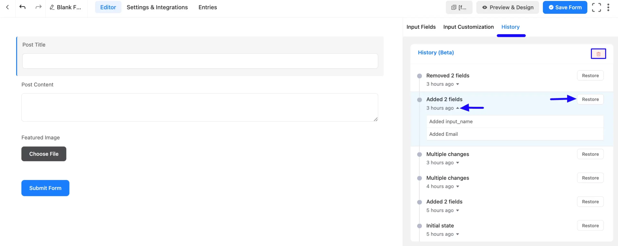 Form edit history
