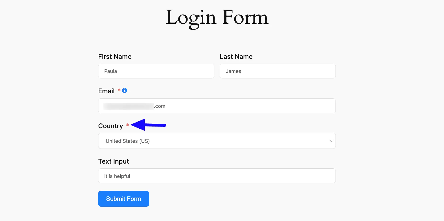 Preview Asterisk Marker Position Form Layout Settings