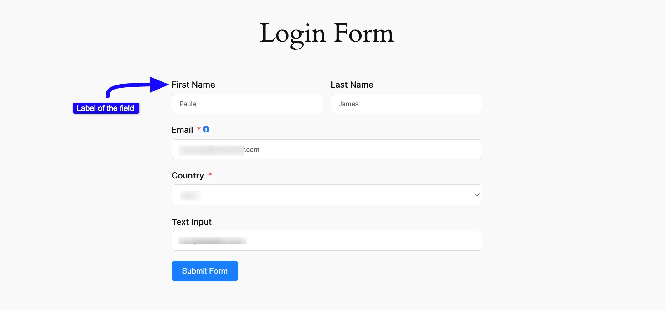 Preview Label Alignment Form Layout Settings