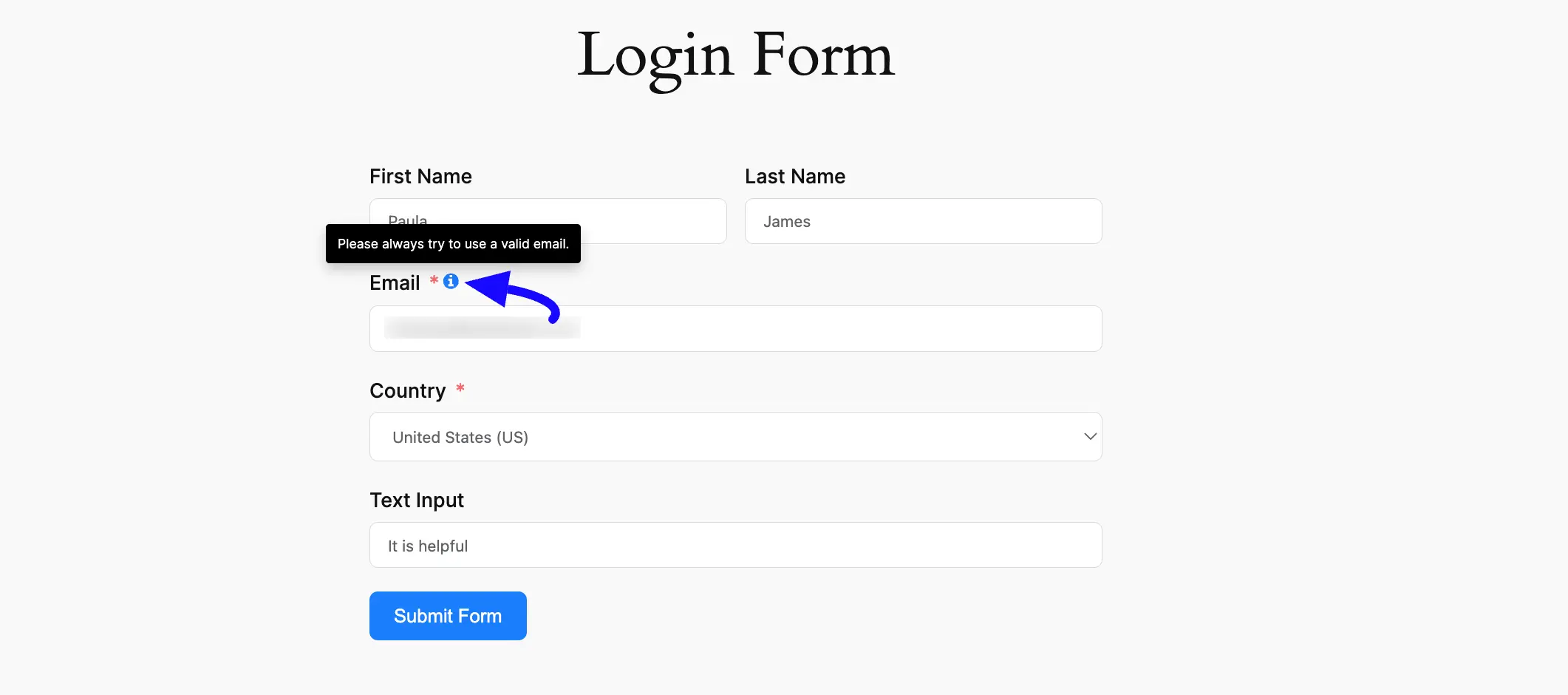 Preview Help Message Form Layout Settings