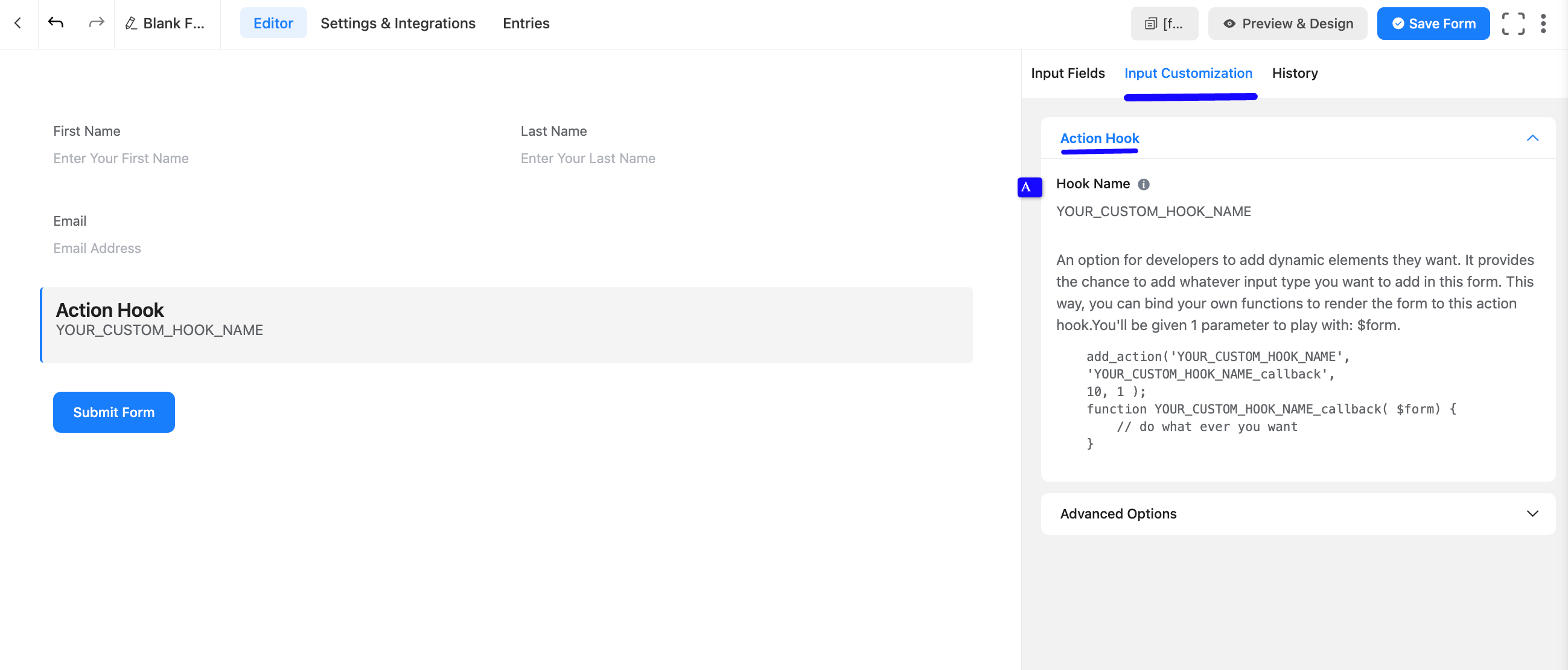 Action Hook Options