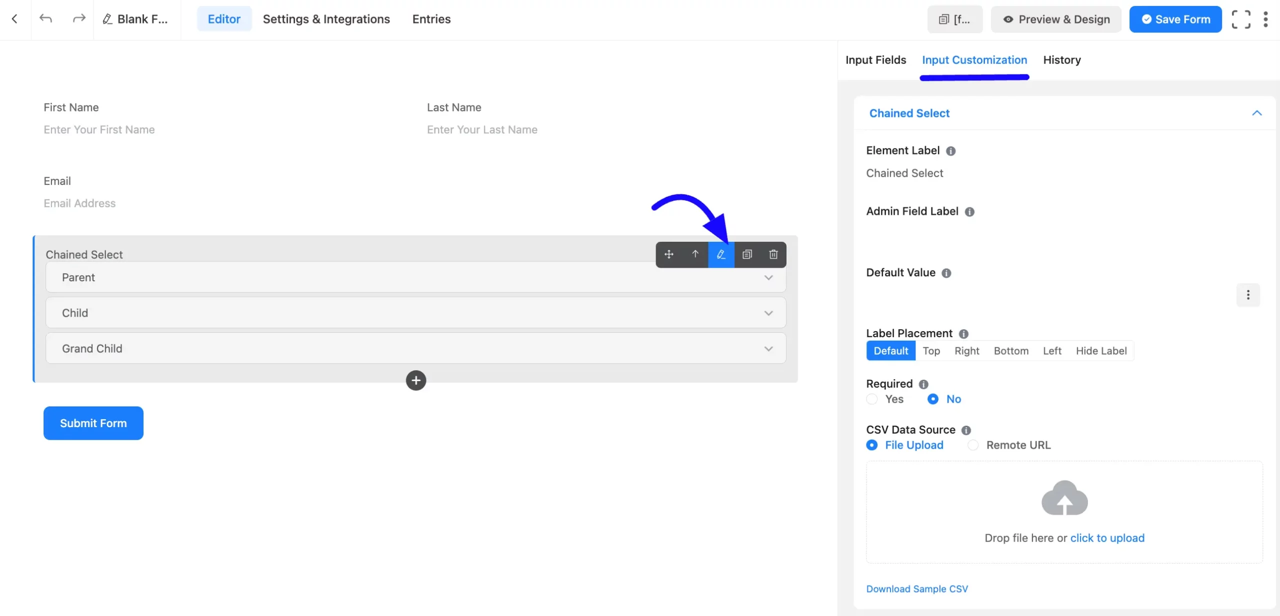 Input Customization Fluent Forms