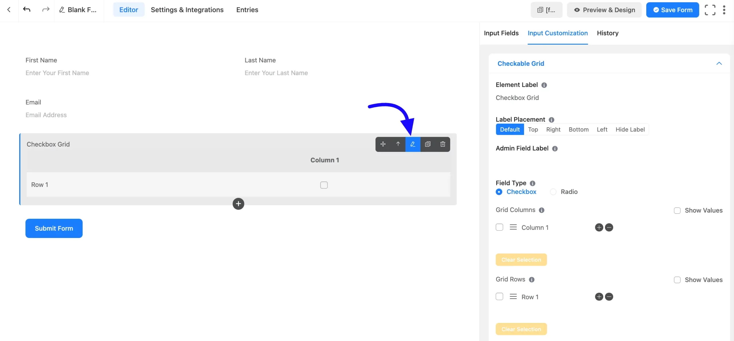 Input Customization Fluent Forms