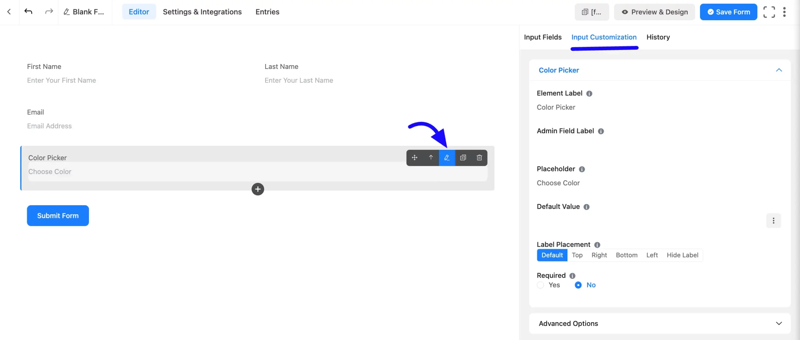 Input Customization Fluent Forms
