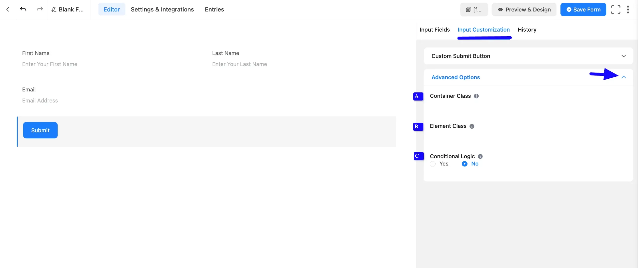 Advanced Options Fluent Forms