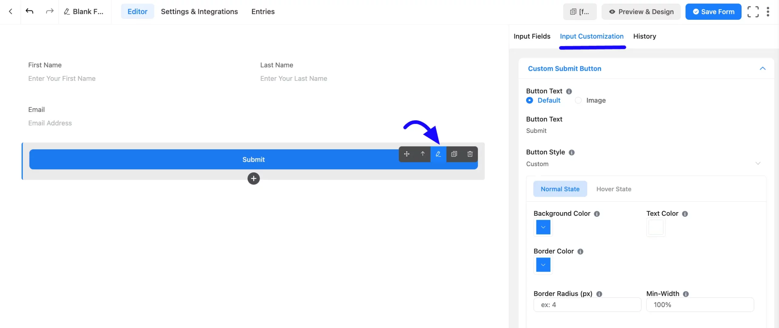 Input Customization Fluent Forms