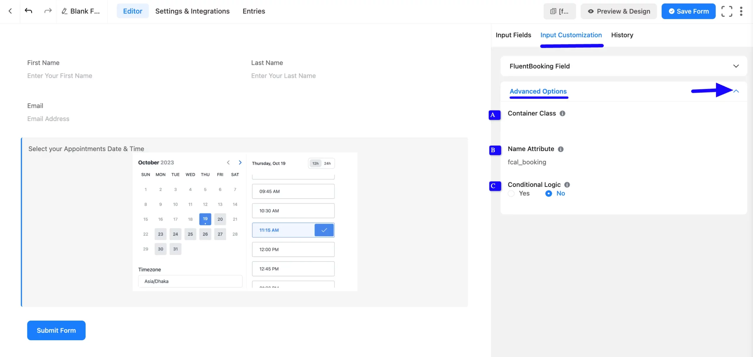 Advanced Options Fluent Forms