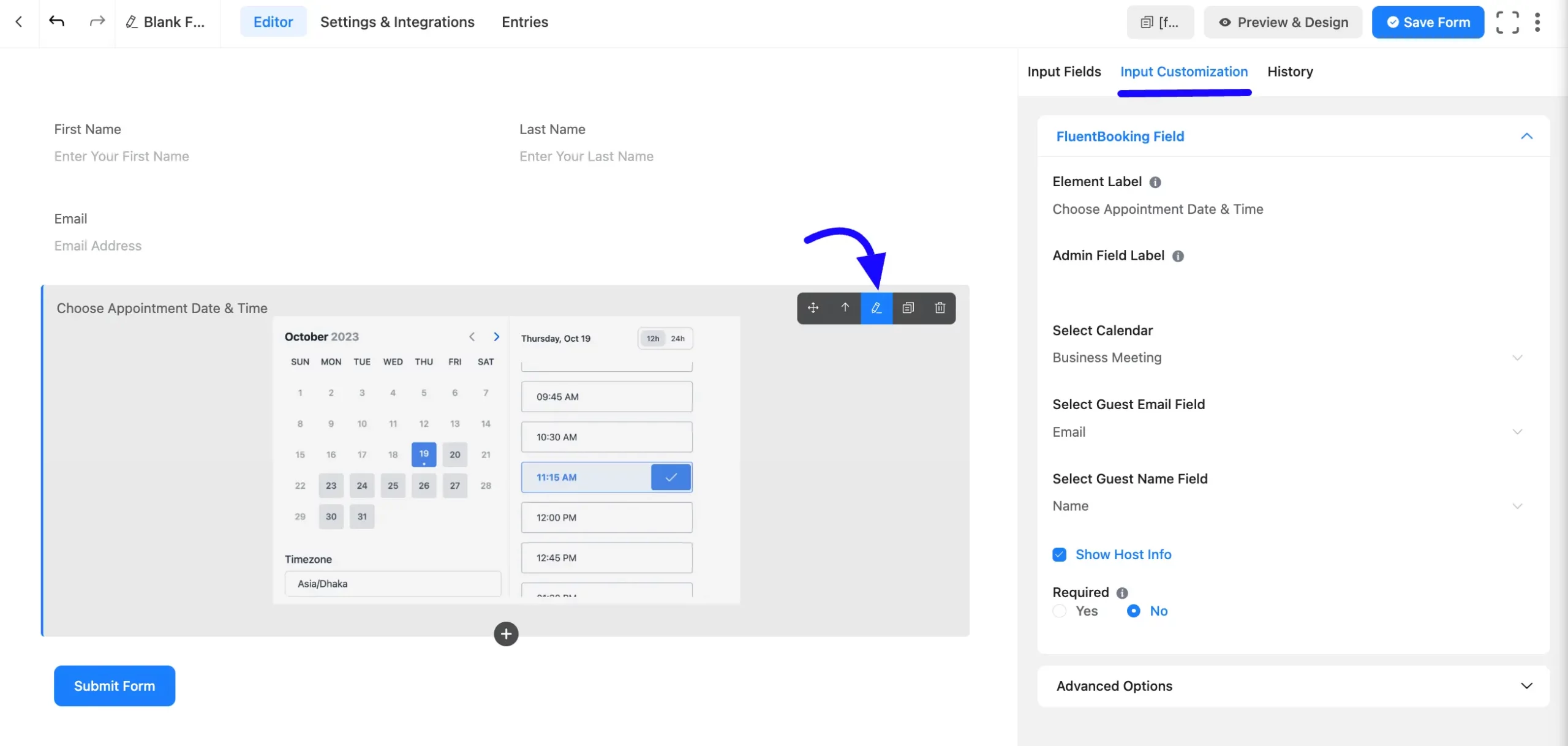 Input Customization Fluent Forms