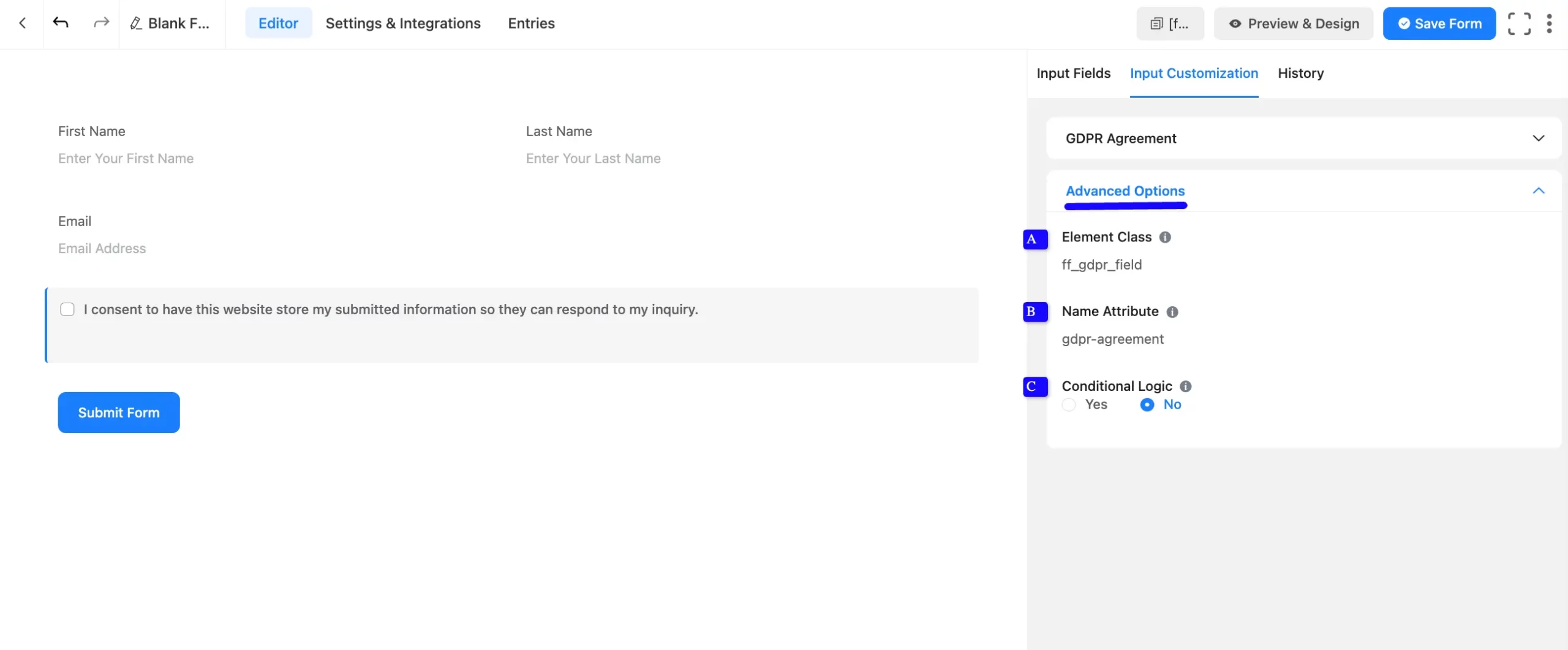 Advanced Options Fluent Forms