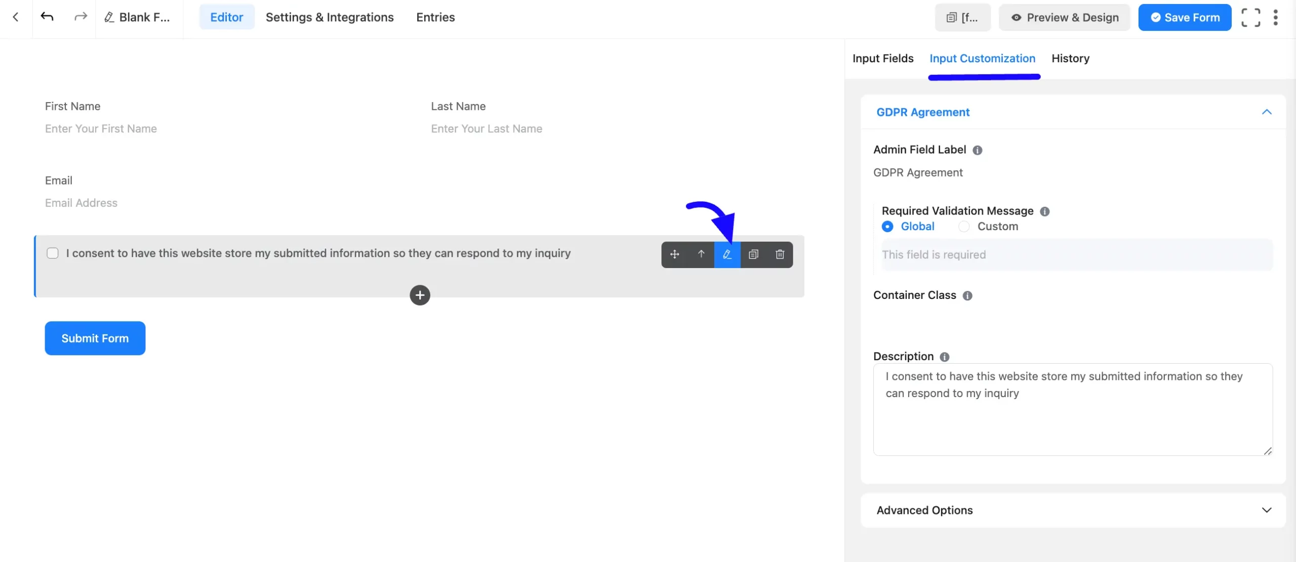 Input Customization Fluent Forms