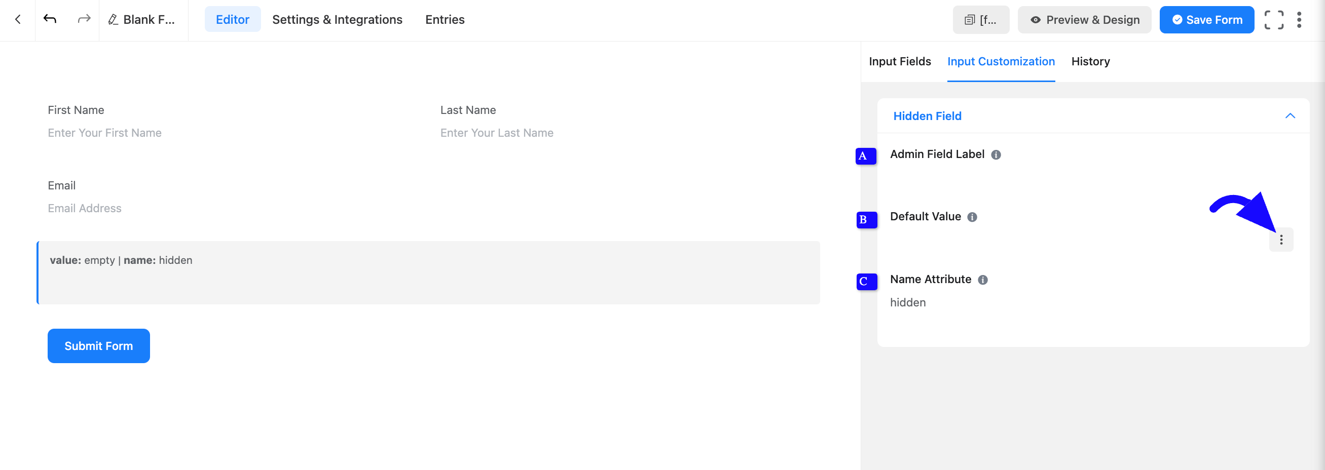 Customization Fluent Forms