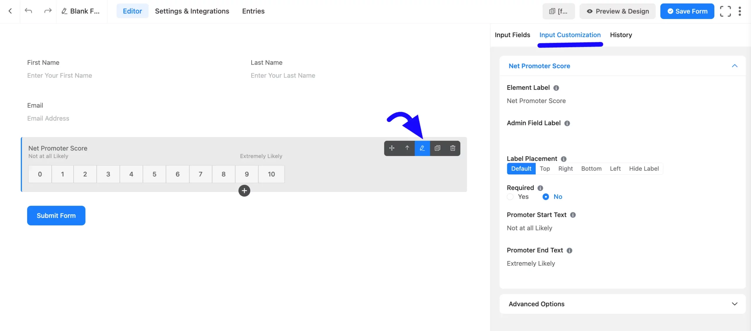 Input Customization Fluent Forms