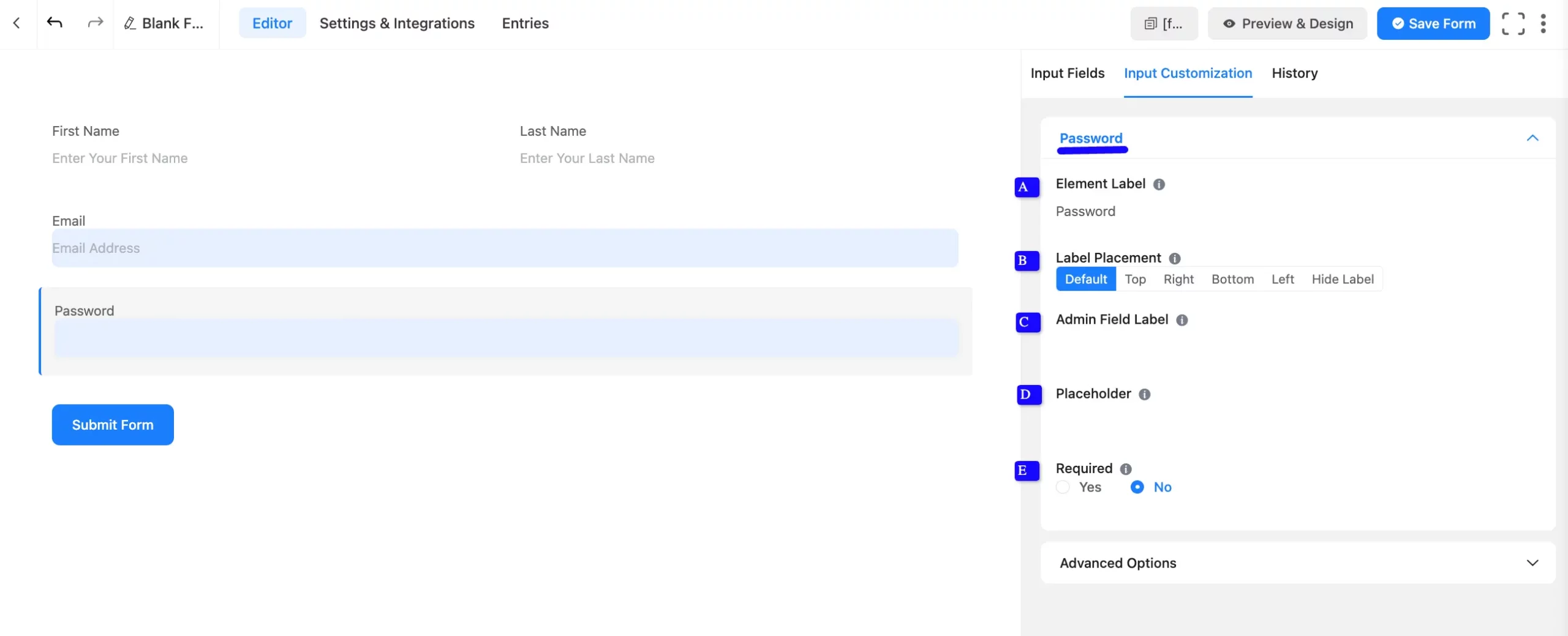 Password Input Options