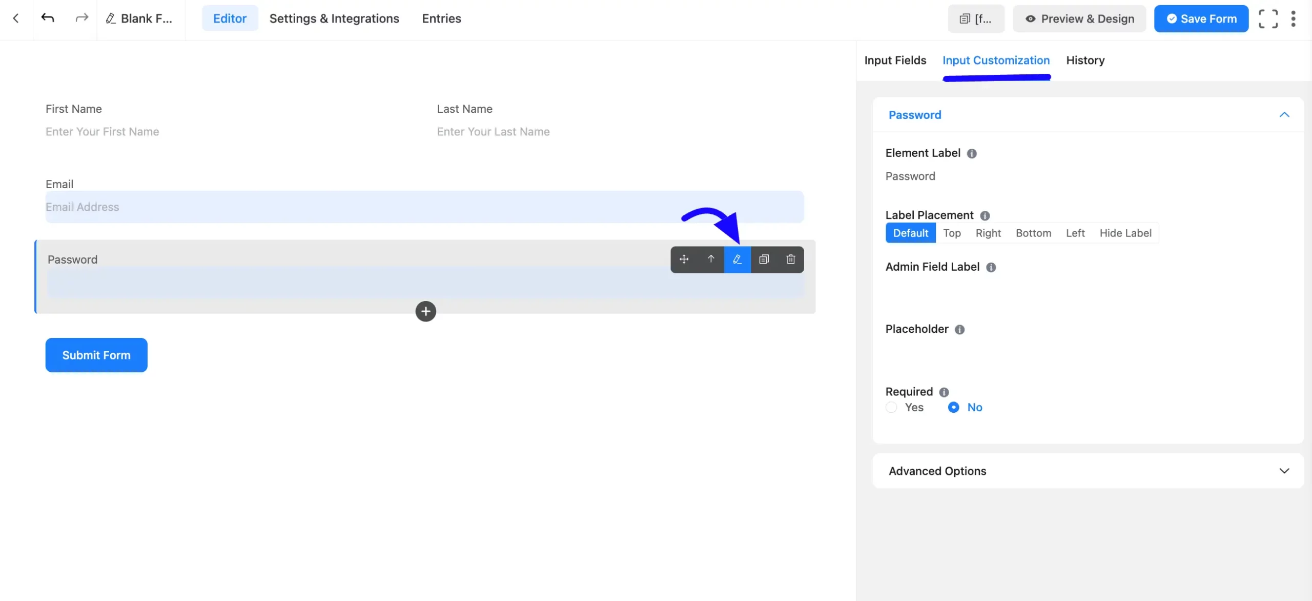 Input Customization Fluent Forms