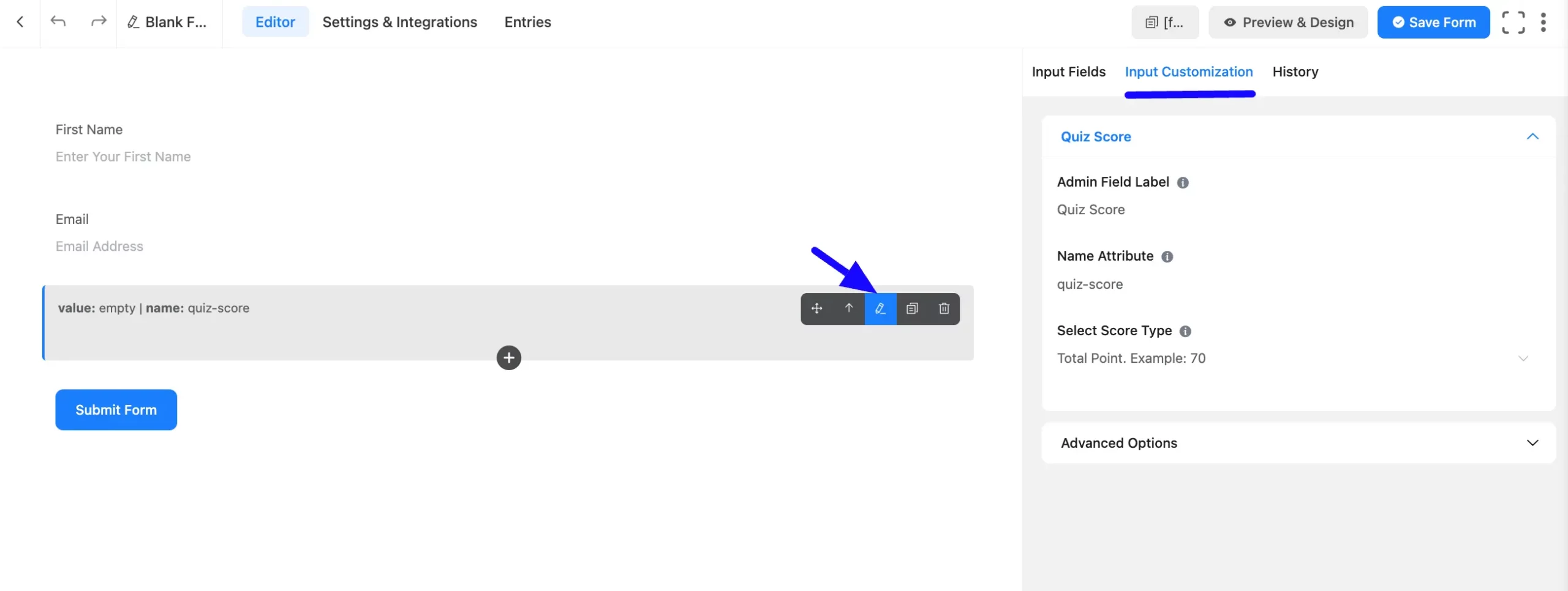 Input Customization Fluent Forms