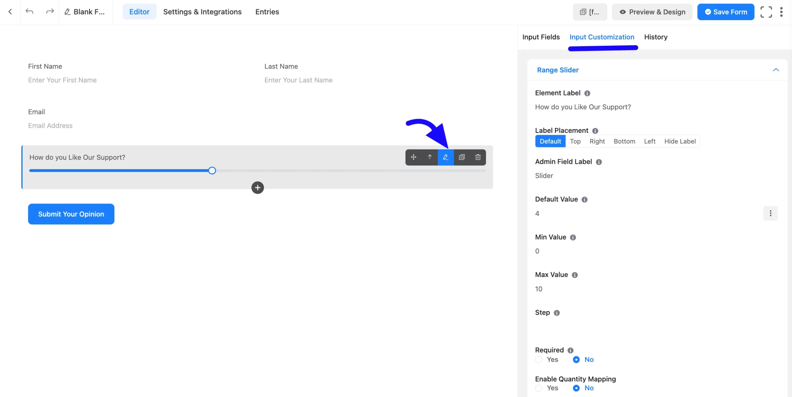 Input Customization Fluent Forms