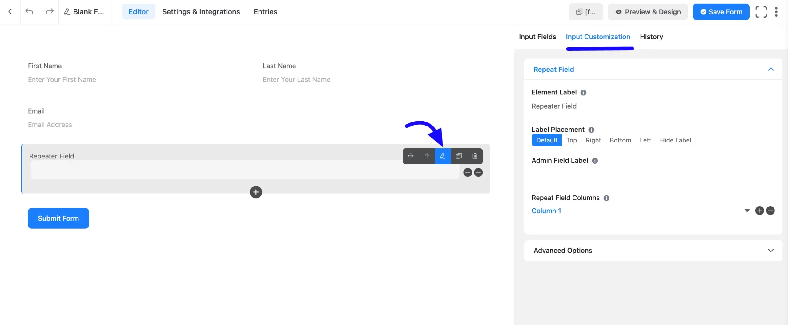 Input Customization Fluent Forms