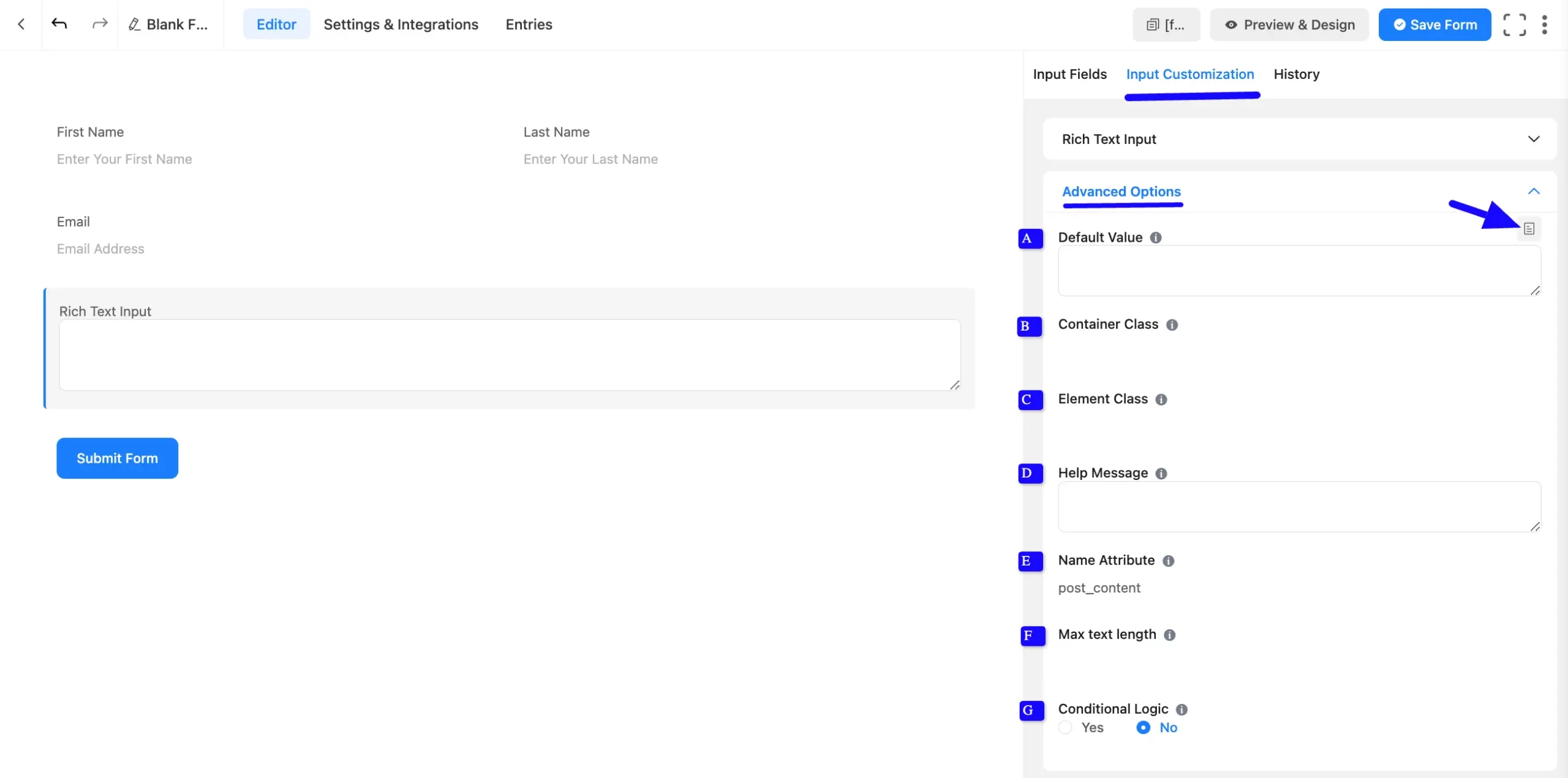 Advanced Options Fluent Forms
