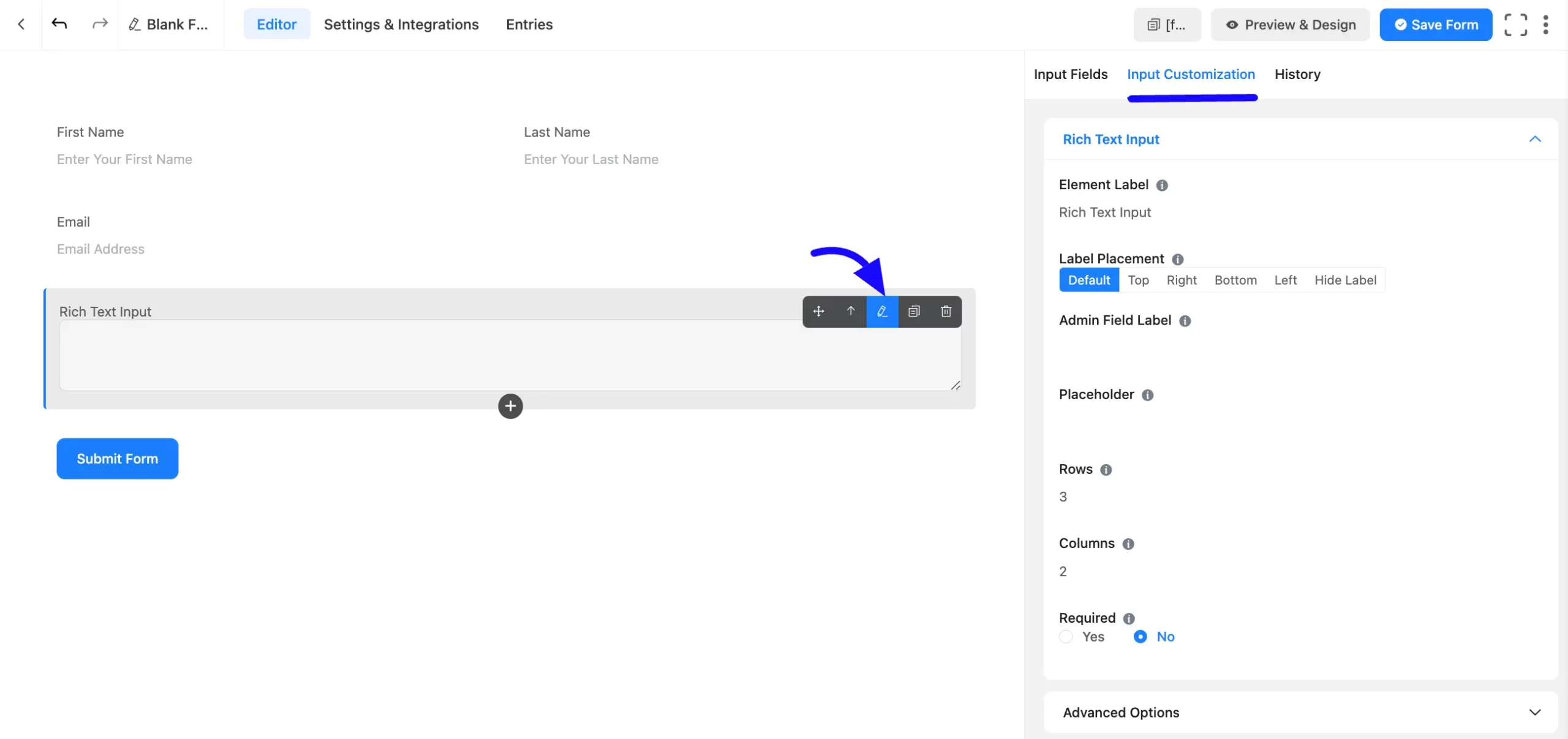 Input Customization Fluent Forms