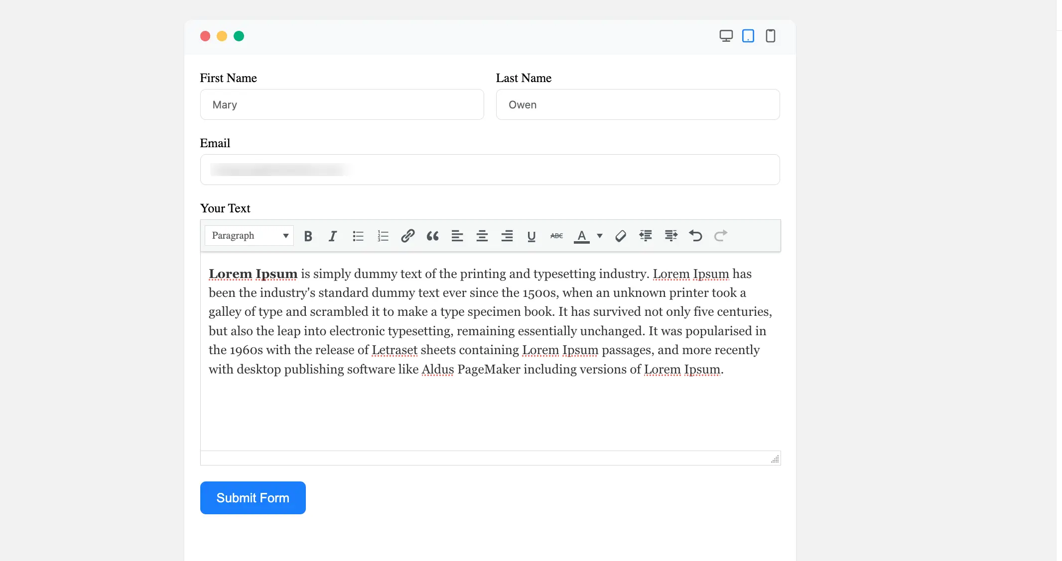 Preview Rich Text Input Field