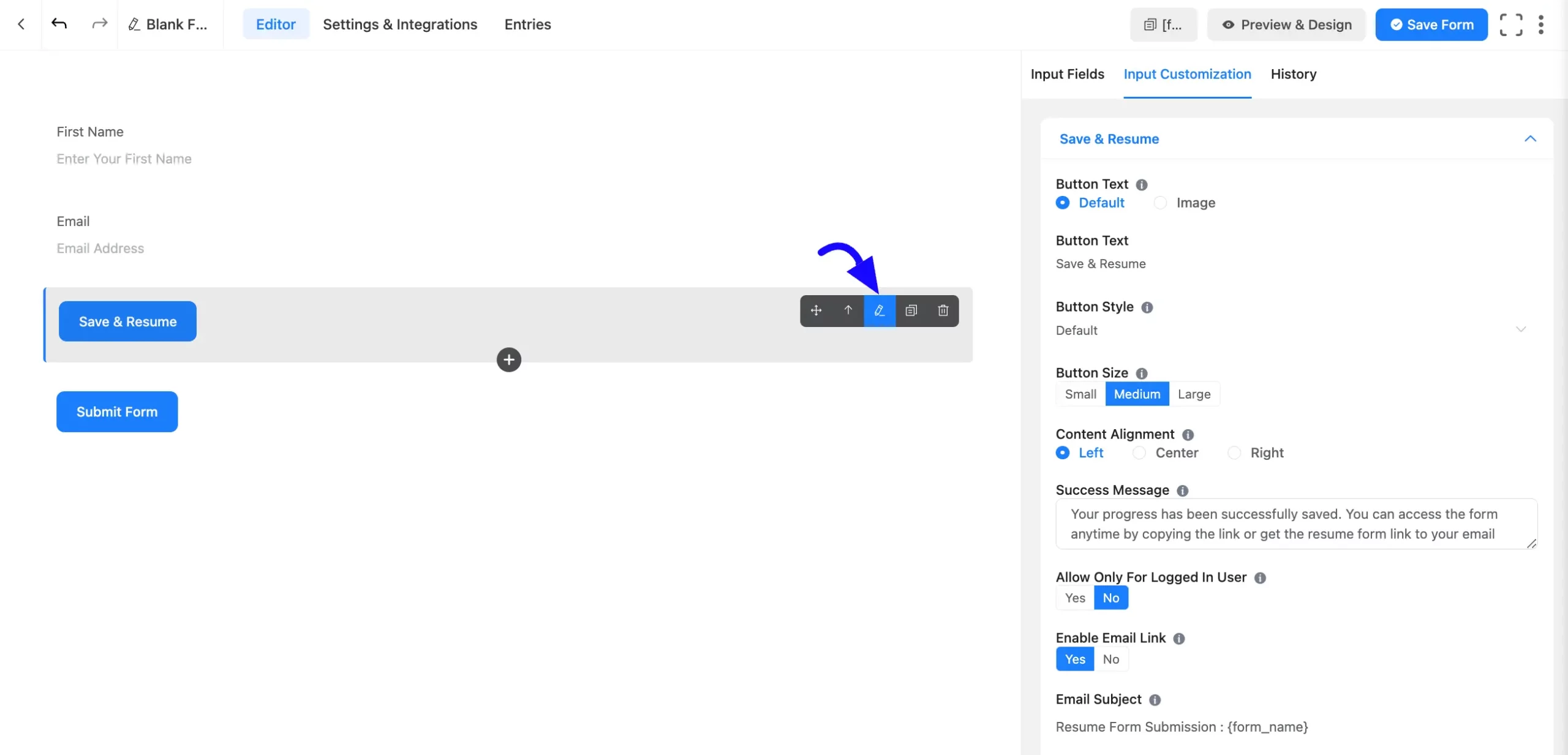 Input Customization Fluent Forms