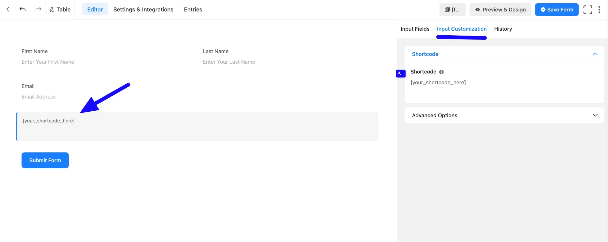 Basic Options Fluent Forms