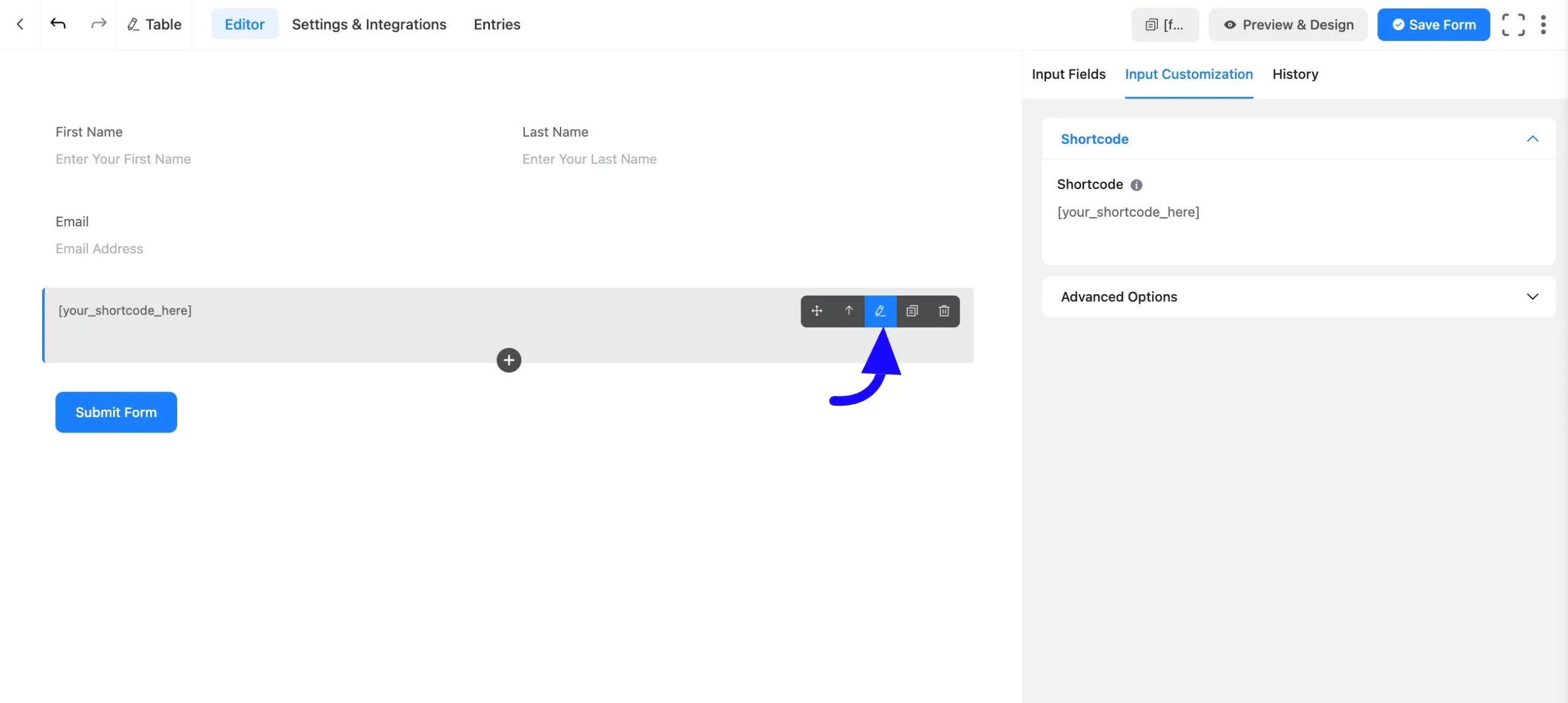 Input Customization Fluent Forms