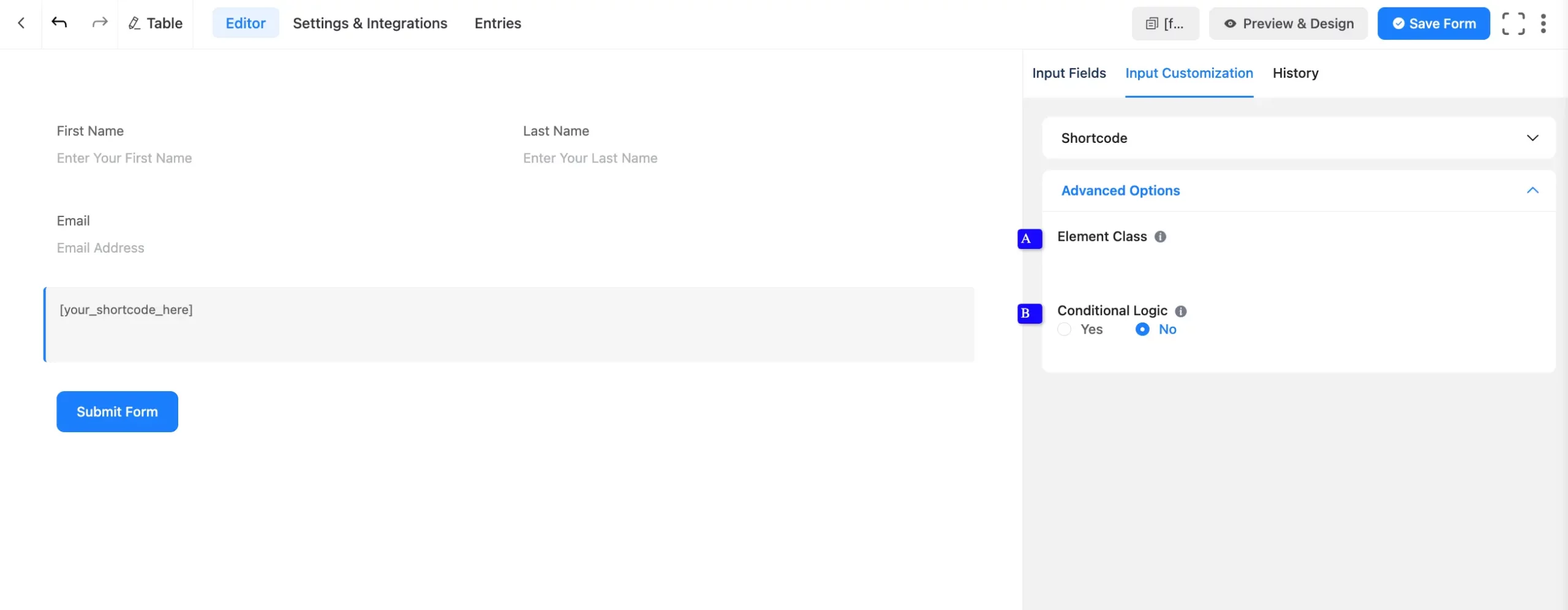 Advanced Options Fluent Forms