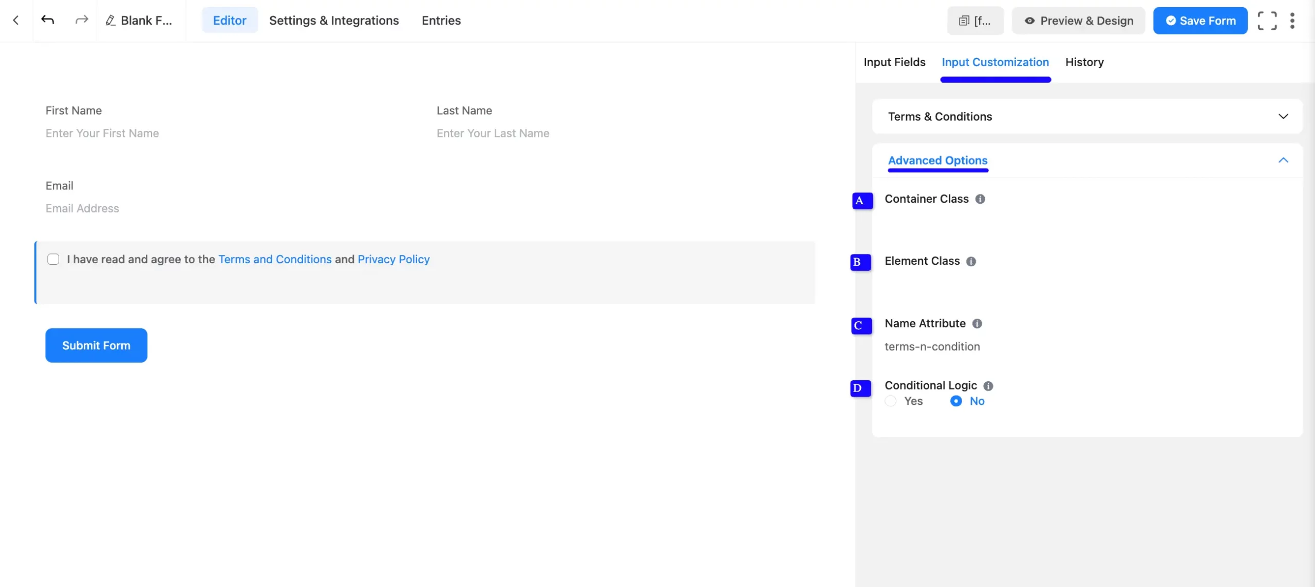 Advanced Options Fluent Forms