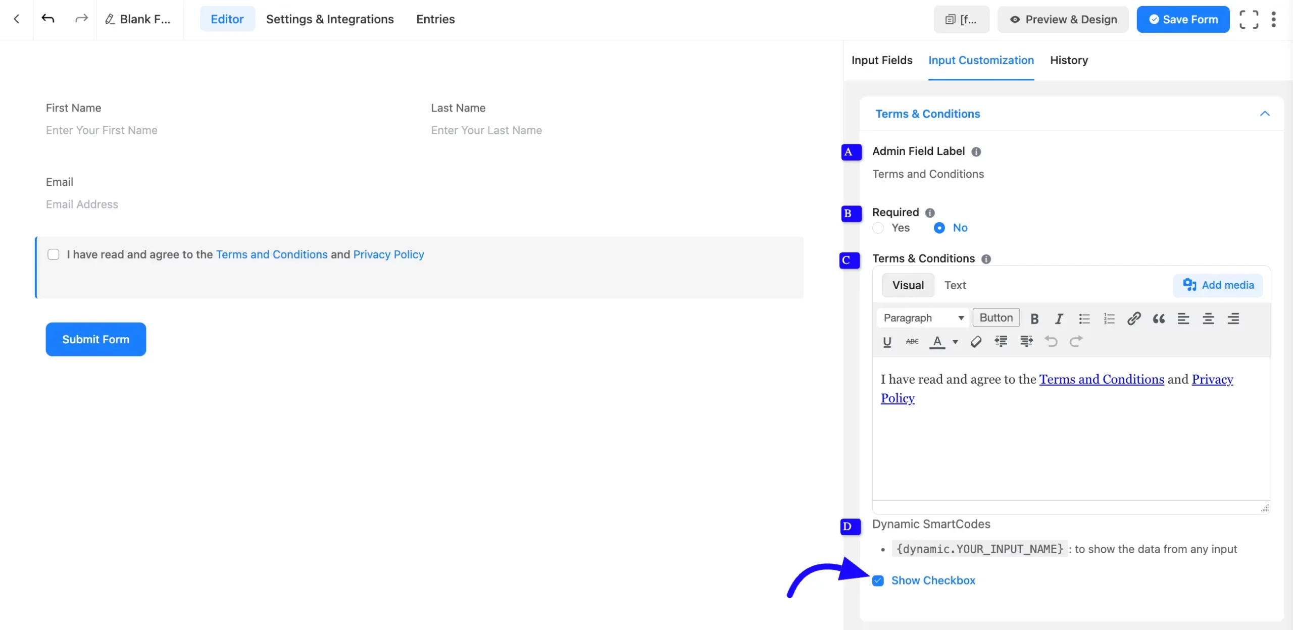 Basic Options Fluent Forms