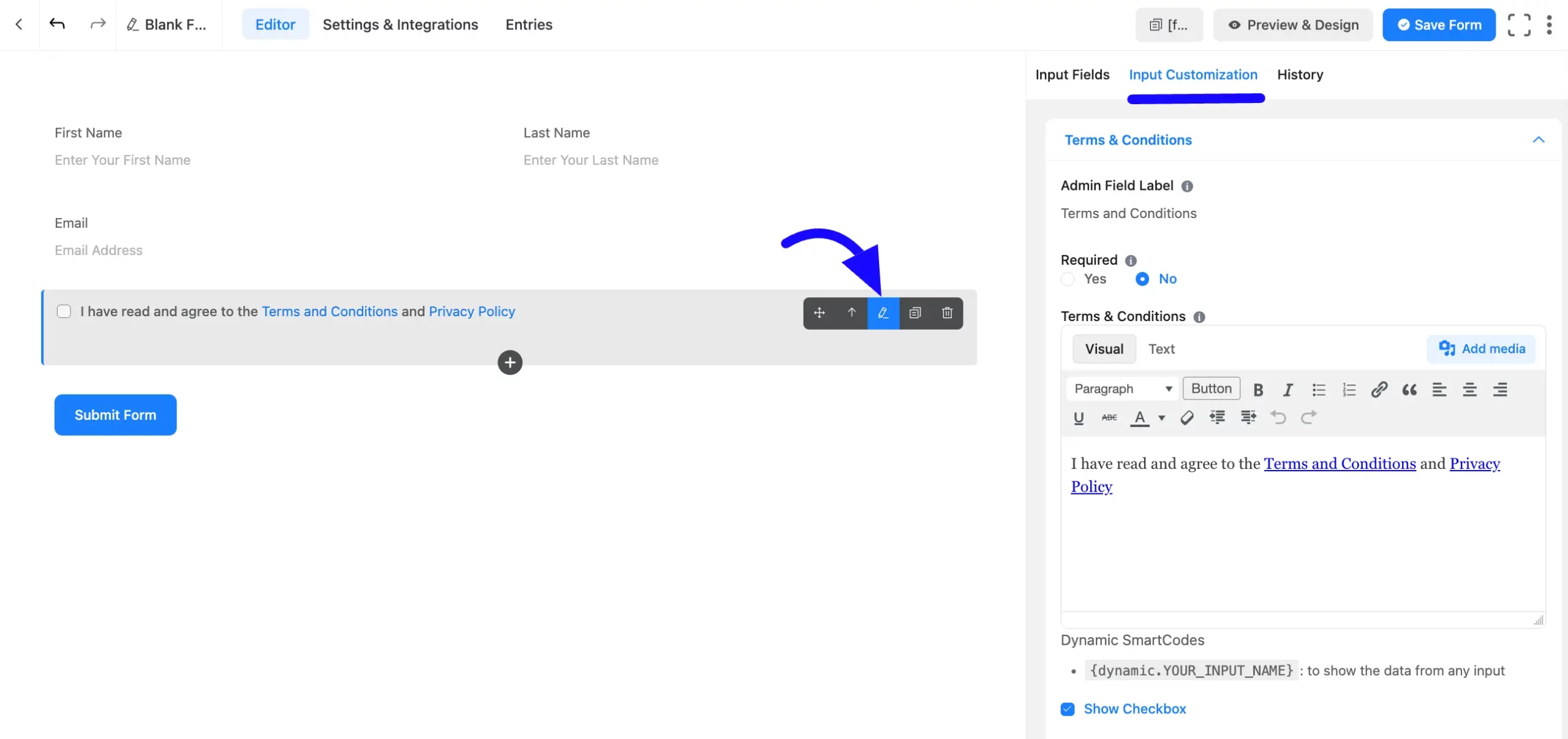 Input Customization Fluent Forms