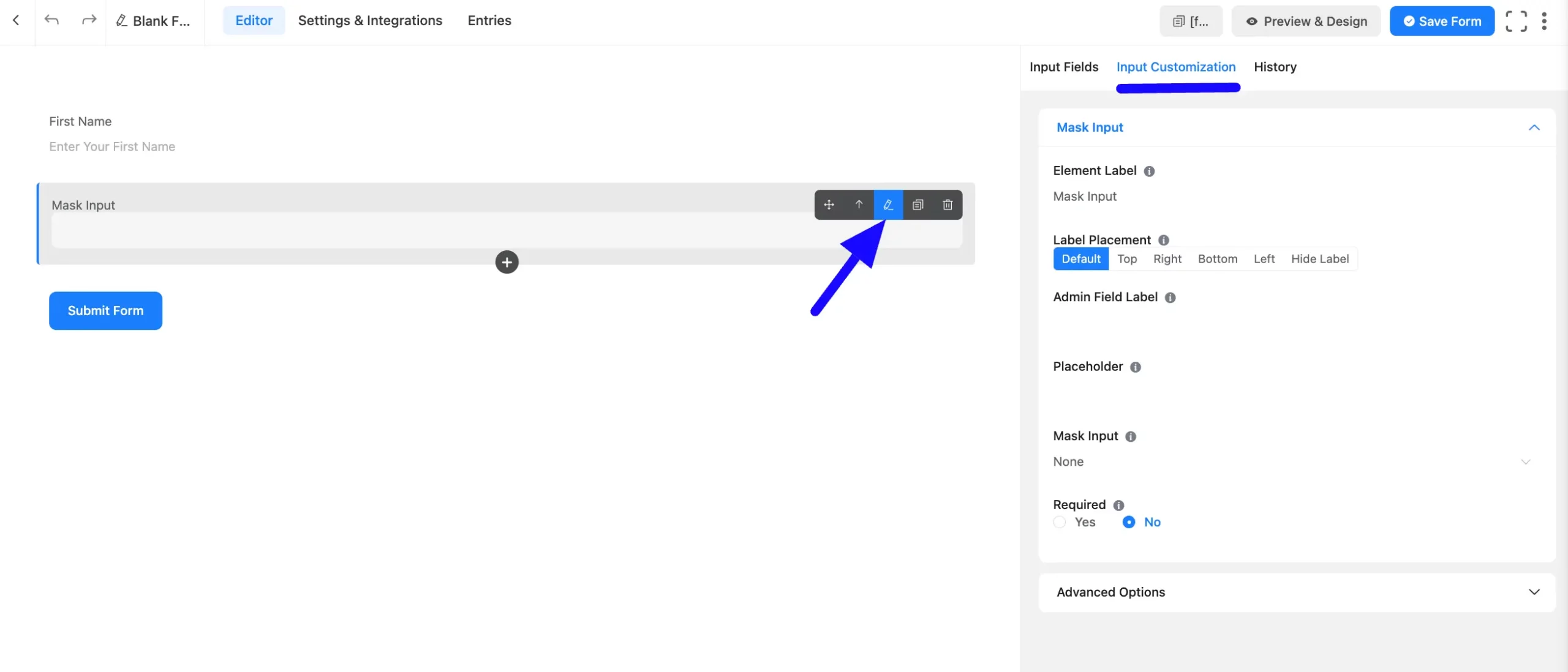 Input Customization