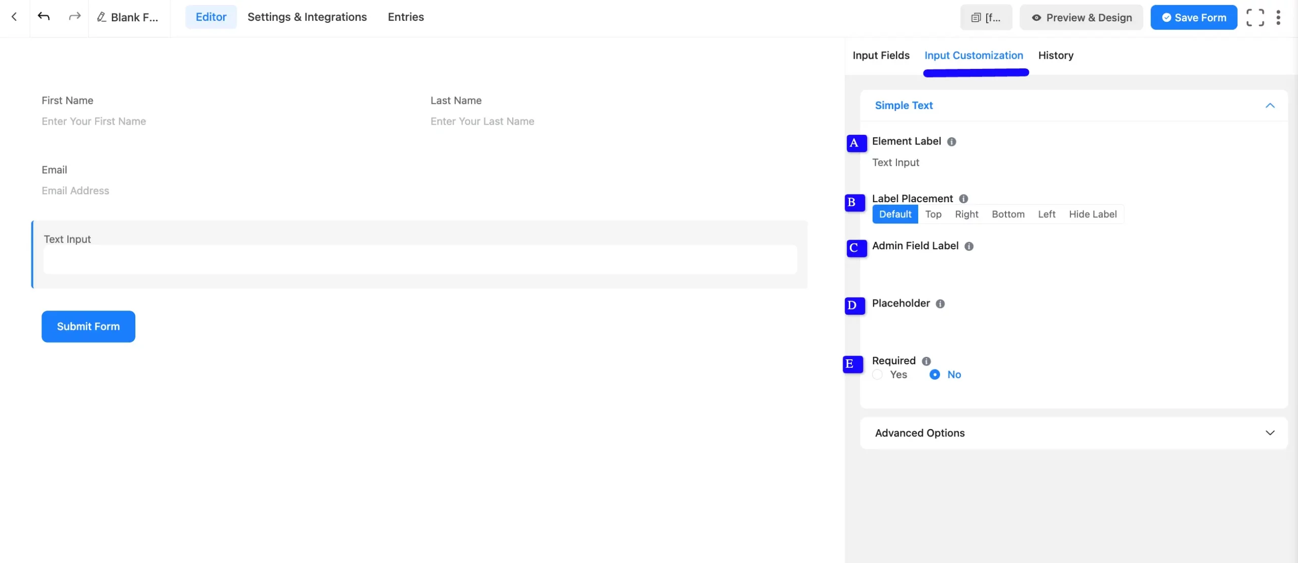 Basic Options Fluent Forms