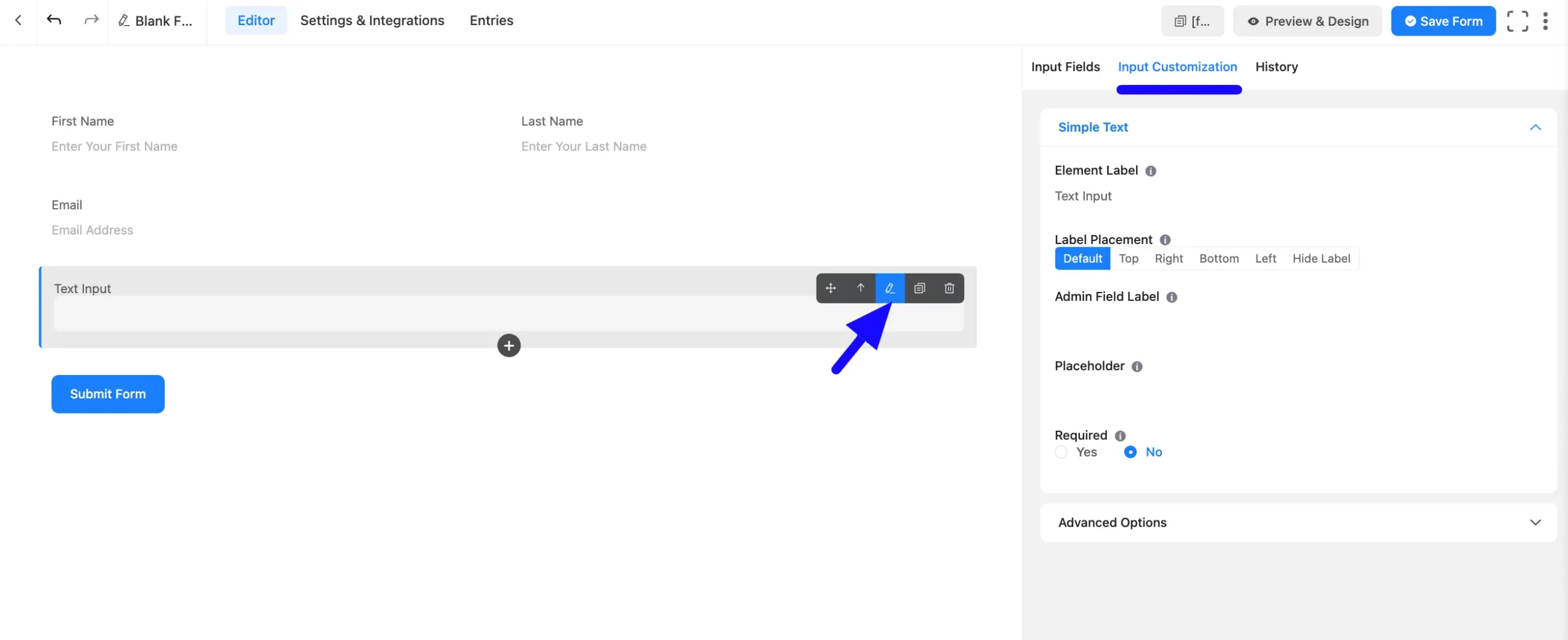 Input Customization Fluent Forms
