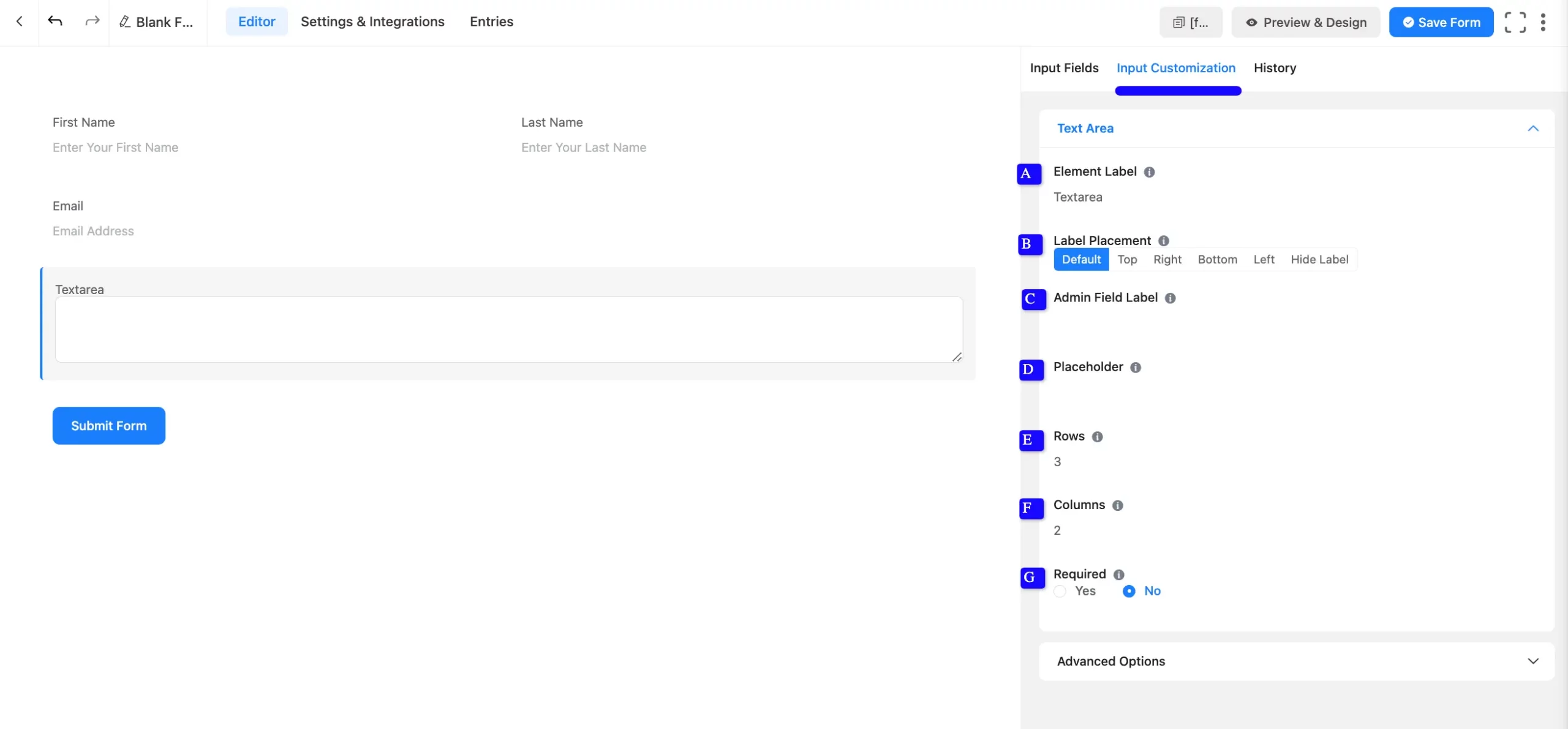 Basic Options Fluent Forms