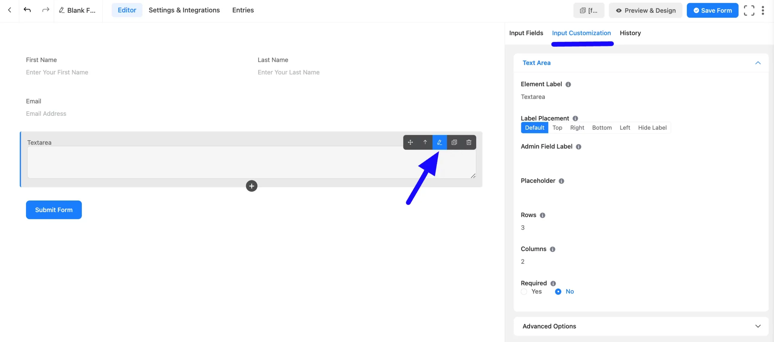 Input Customization Fluent Forms