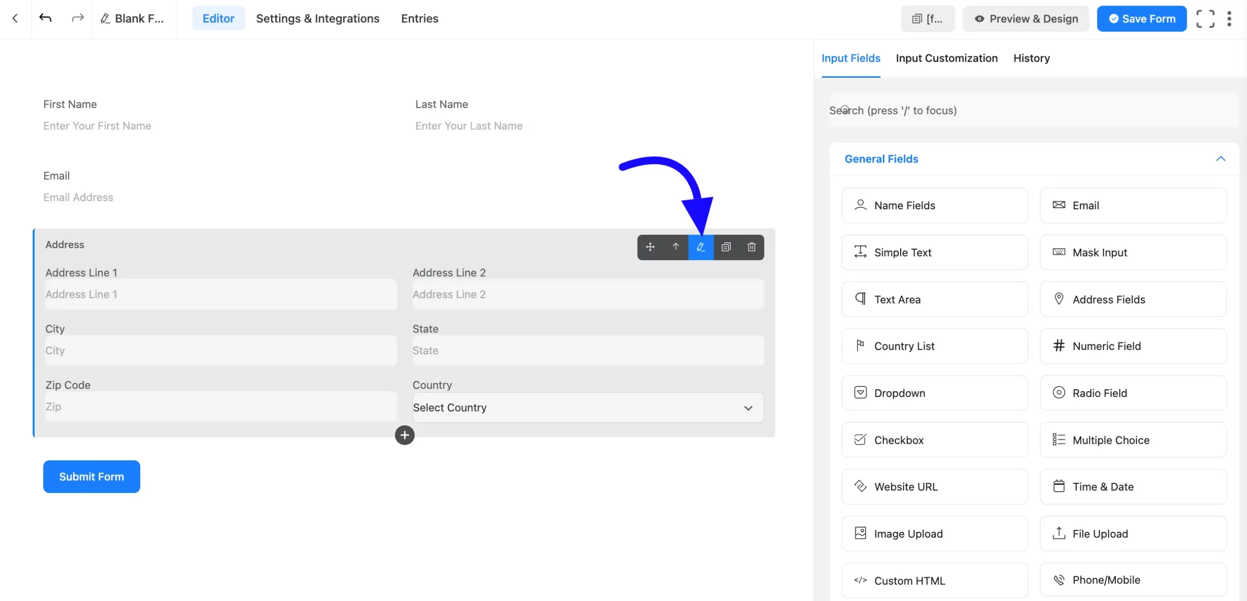Input Customization Fluent Forms