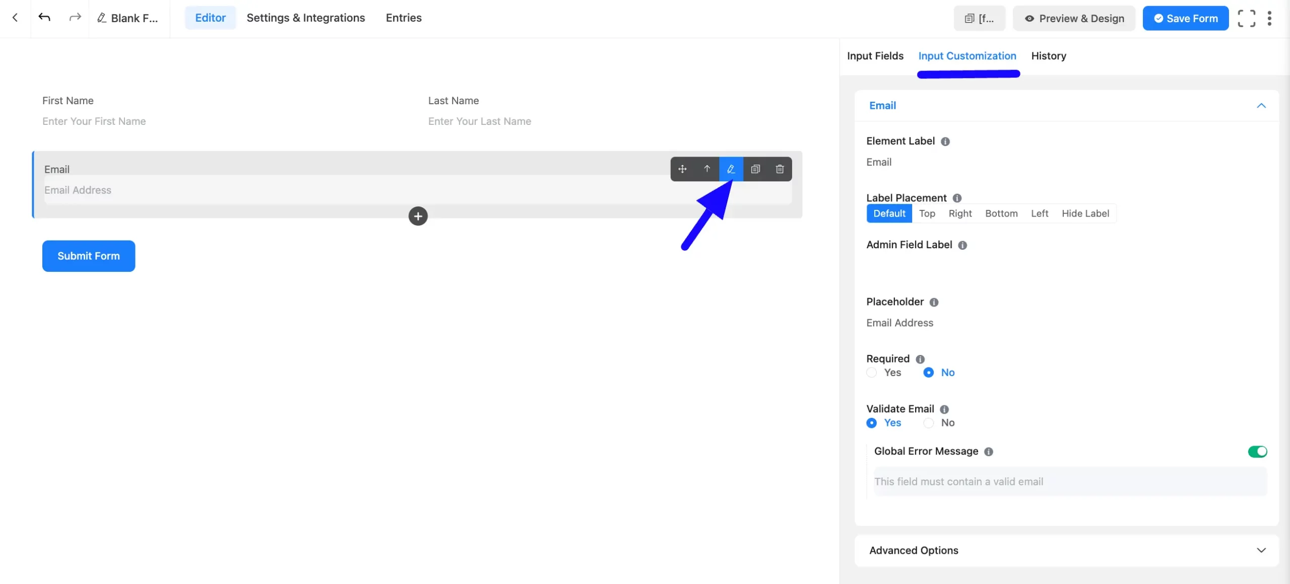 Input Customization