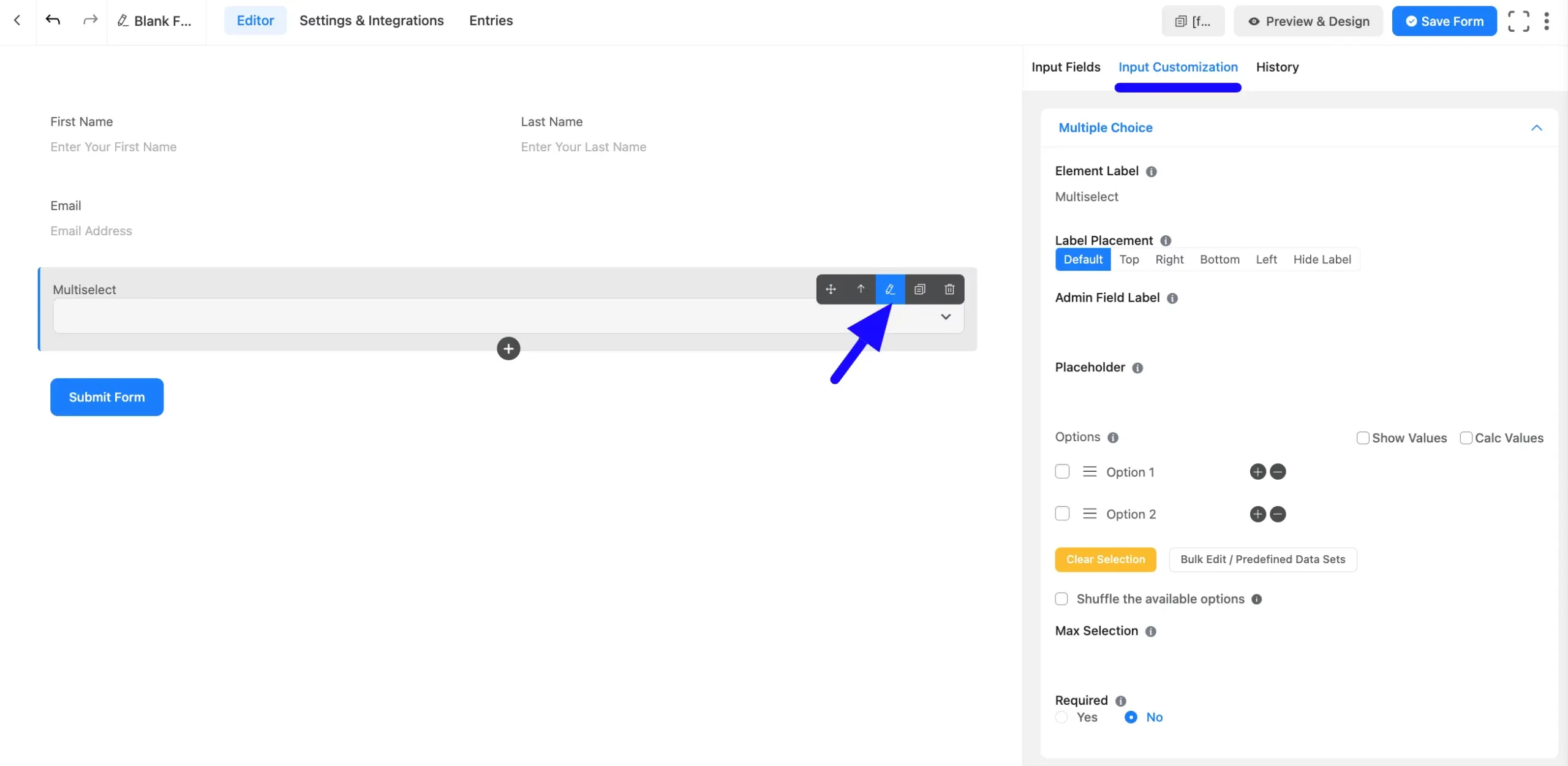 Input Customization