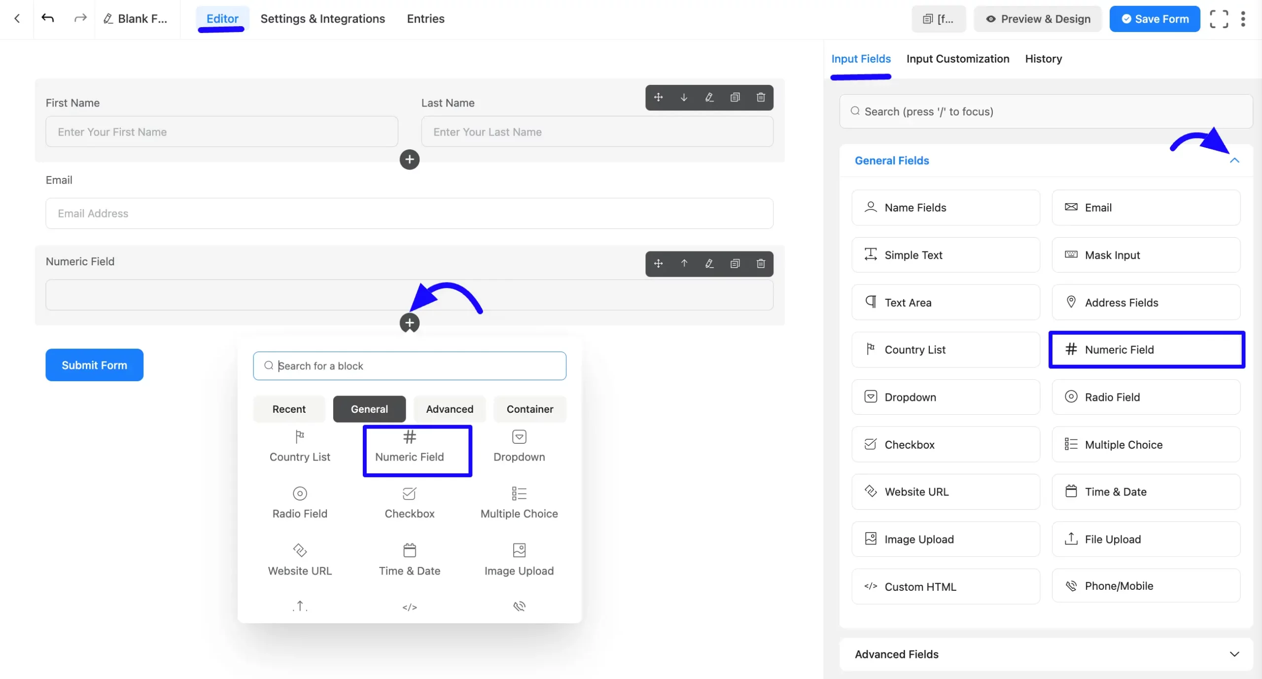 Numeric Input Field step