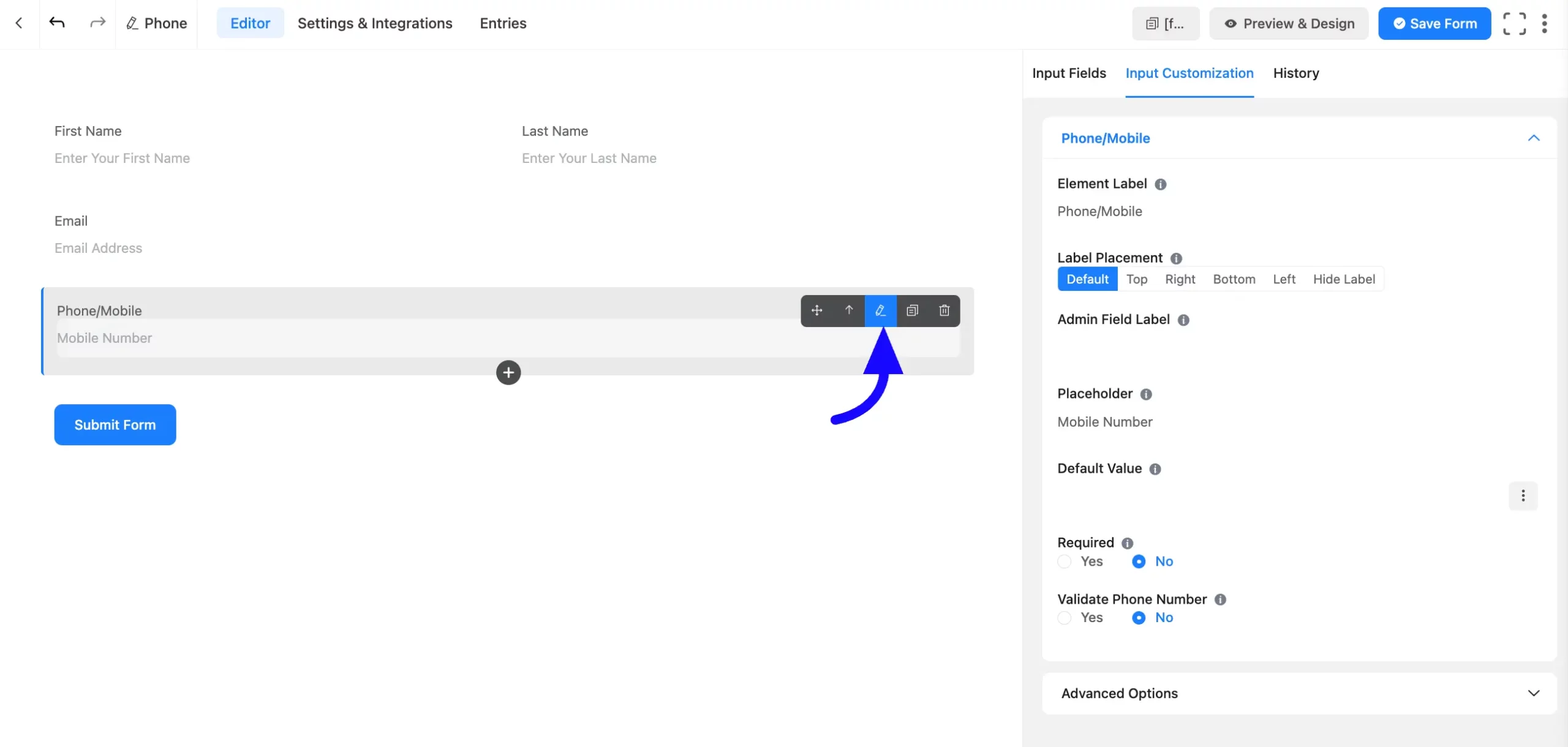 Input Customization
