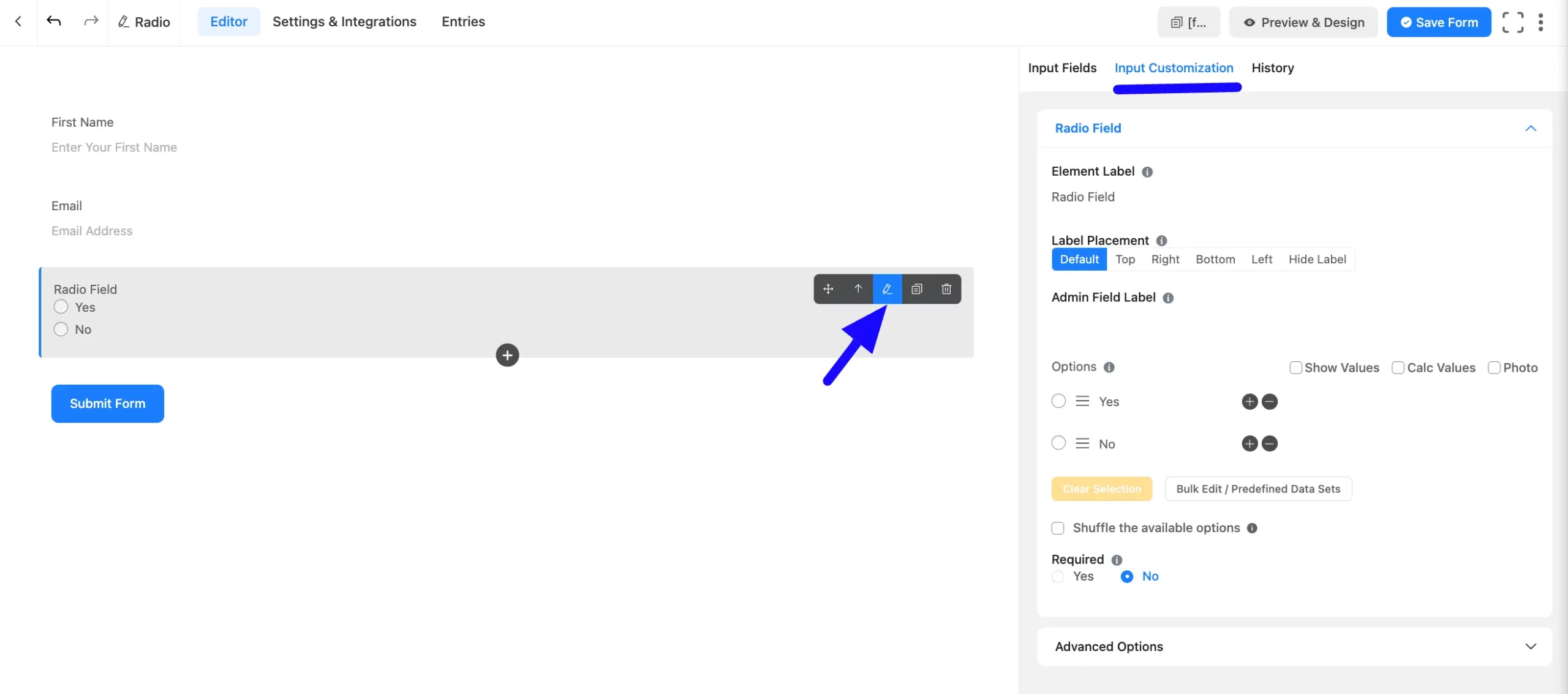 Input Customization