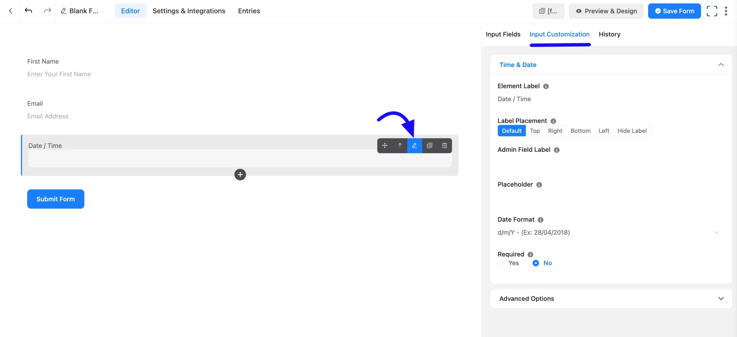 Input Customization Fluent Forms