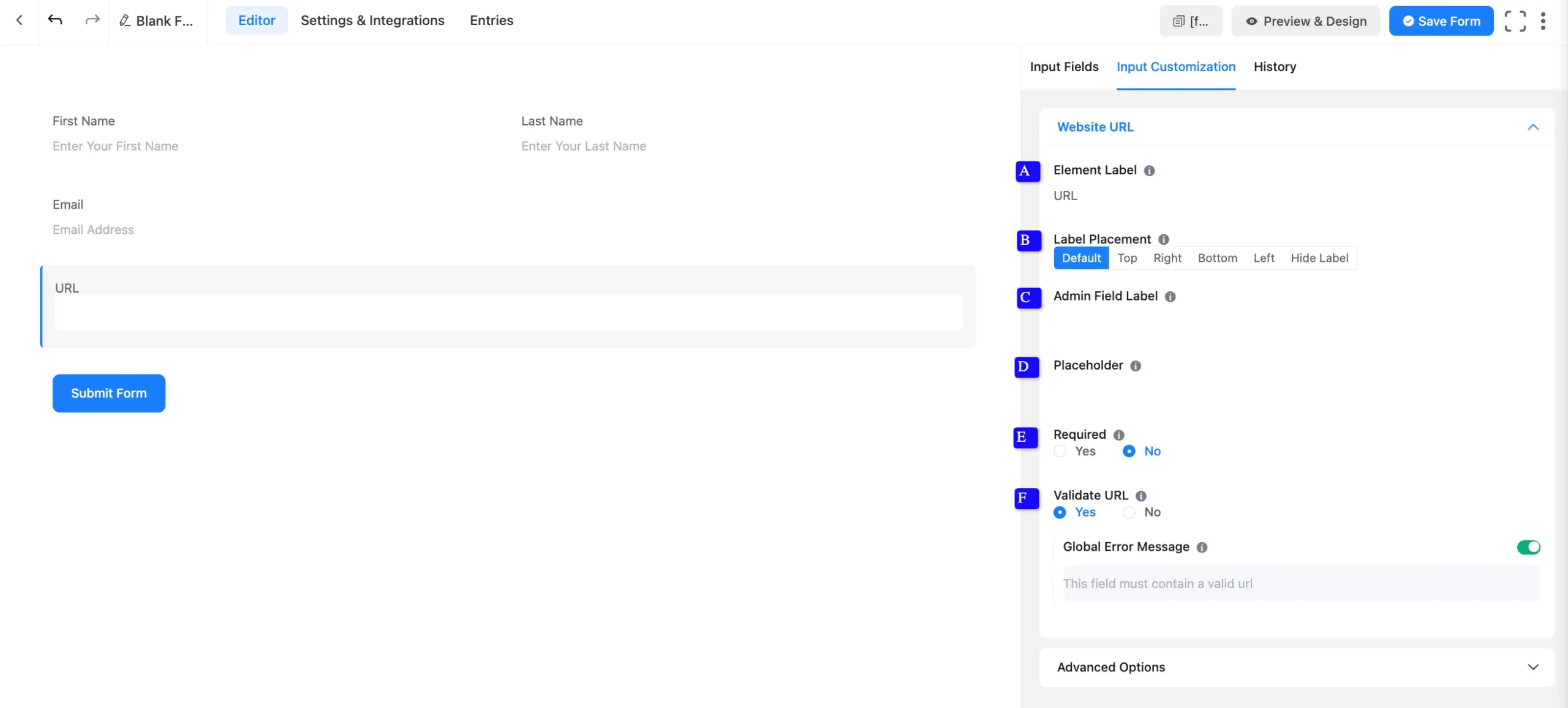 Basic Options Fluent Forms
