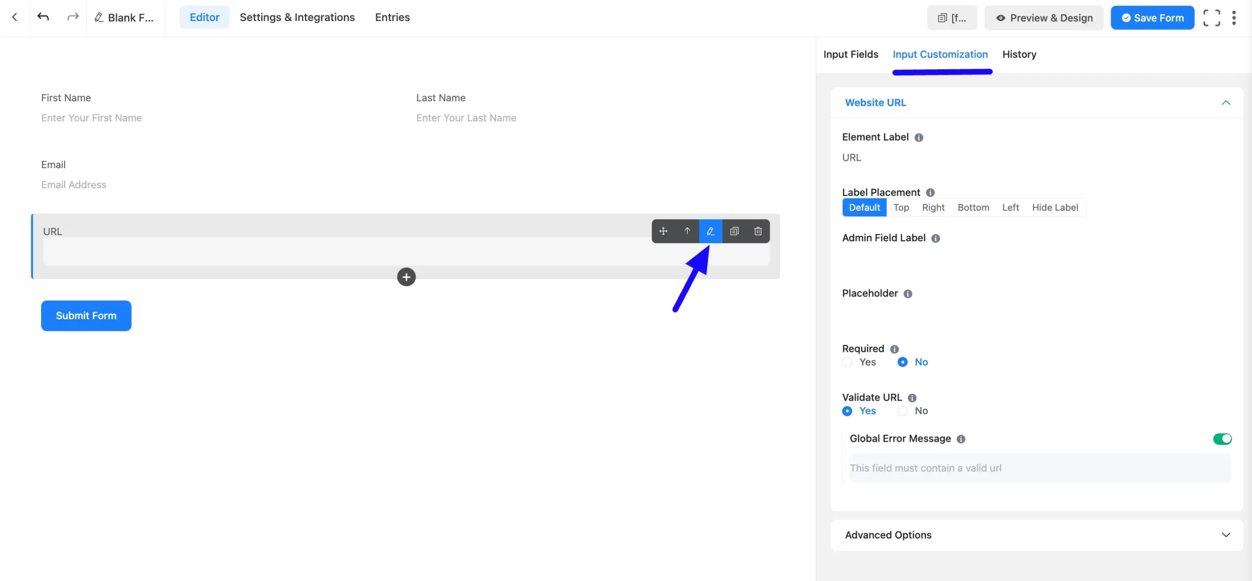 Input Customization Fluent Forms