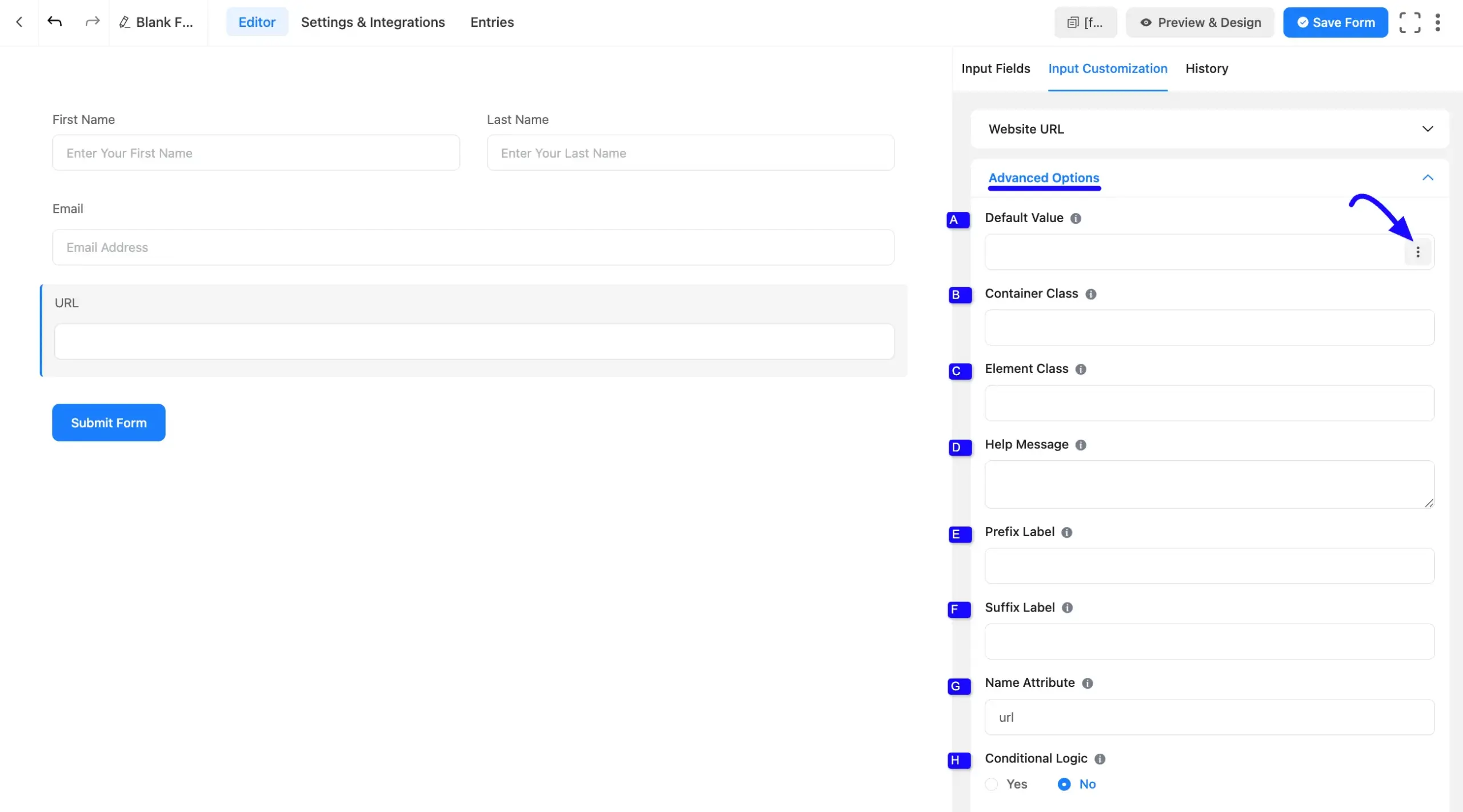 URL Advanced Option