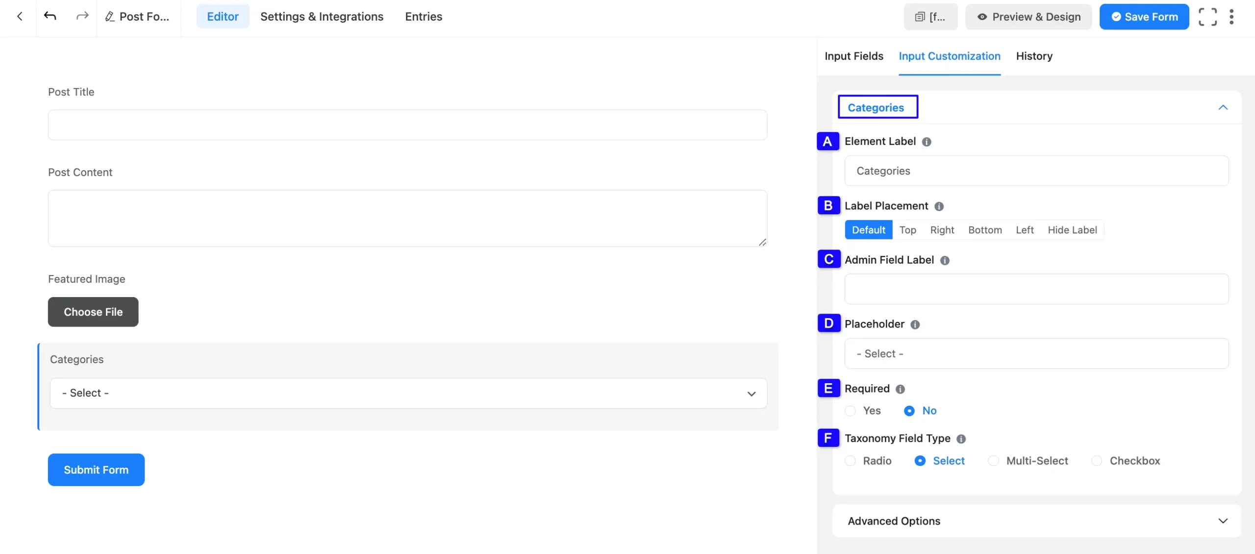 Categories Options Fluent Forms